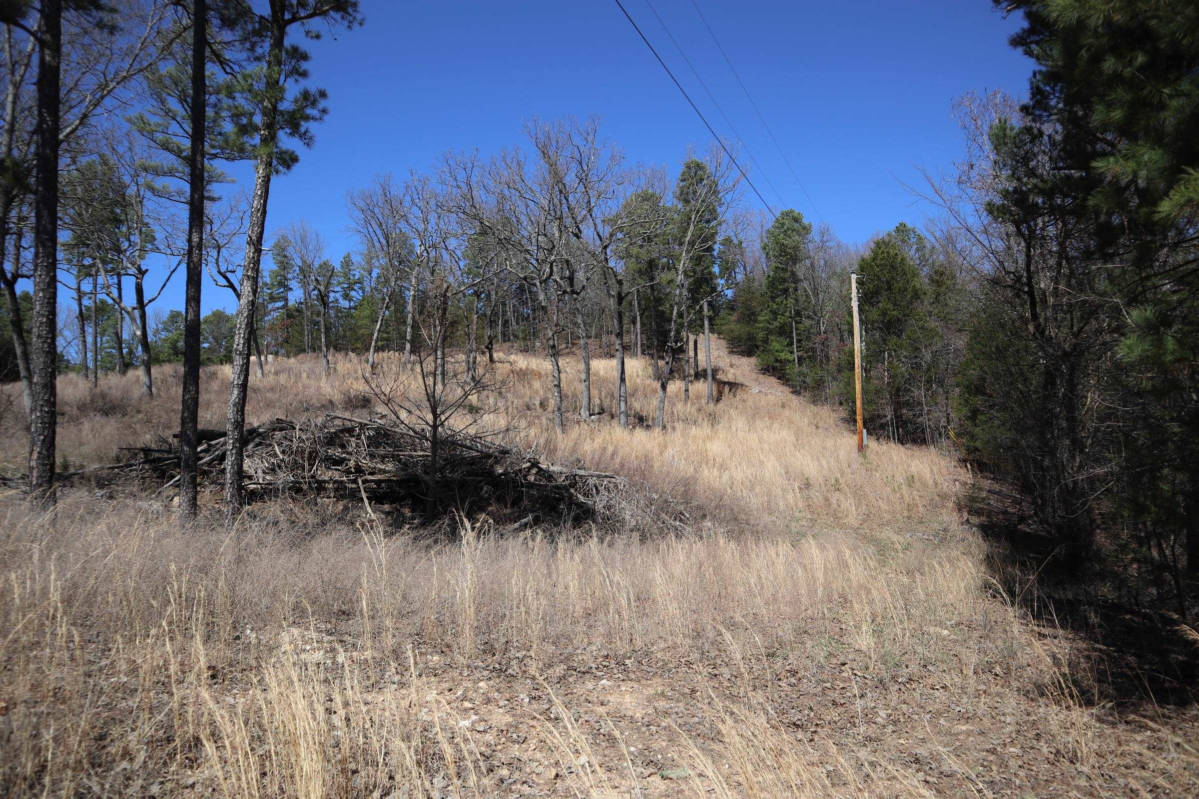TBD  Glade Hill Rd  Elizabeth, AR