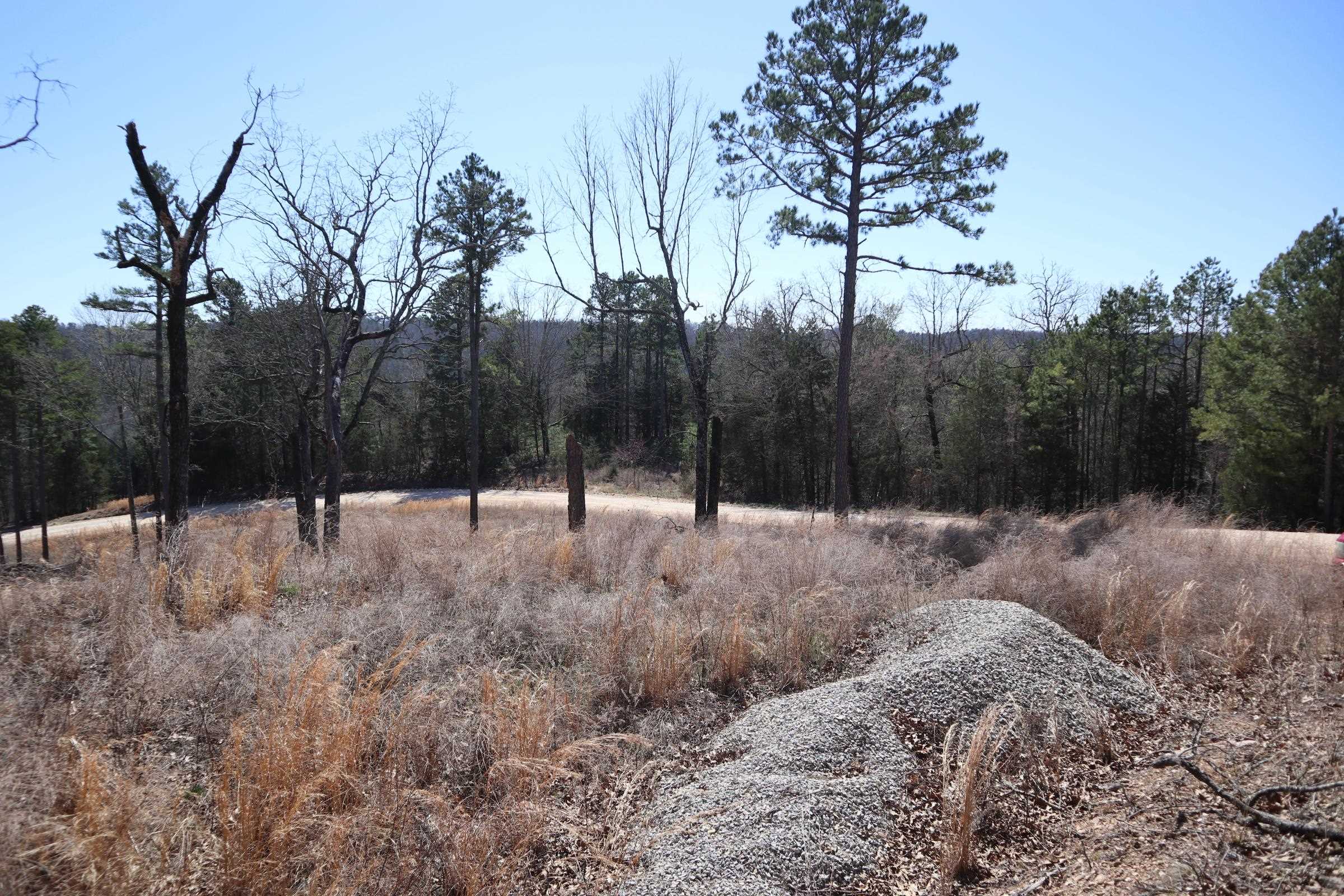 TBD  Glade Hill Rd  Elizabeth, AR