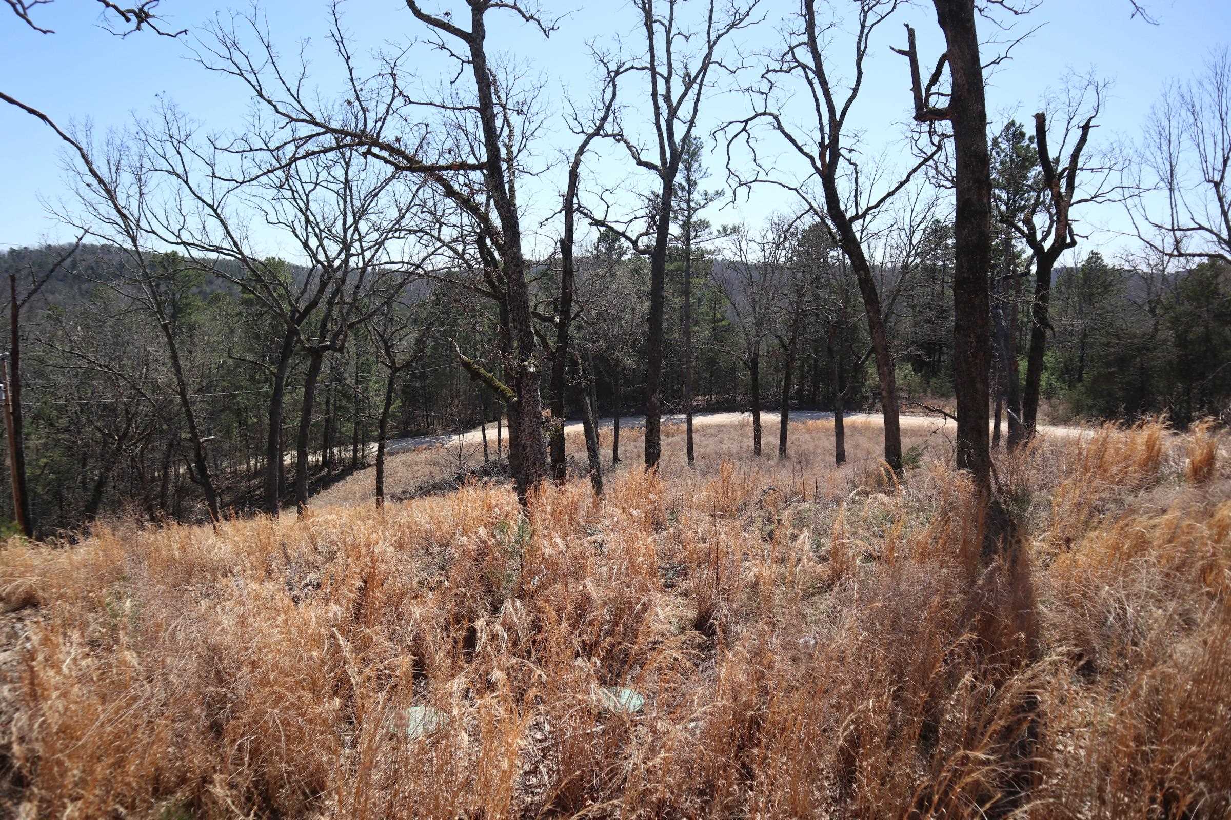 TBD  Glade Hill Rd  Elizabeth, AR