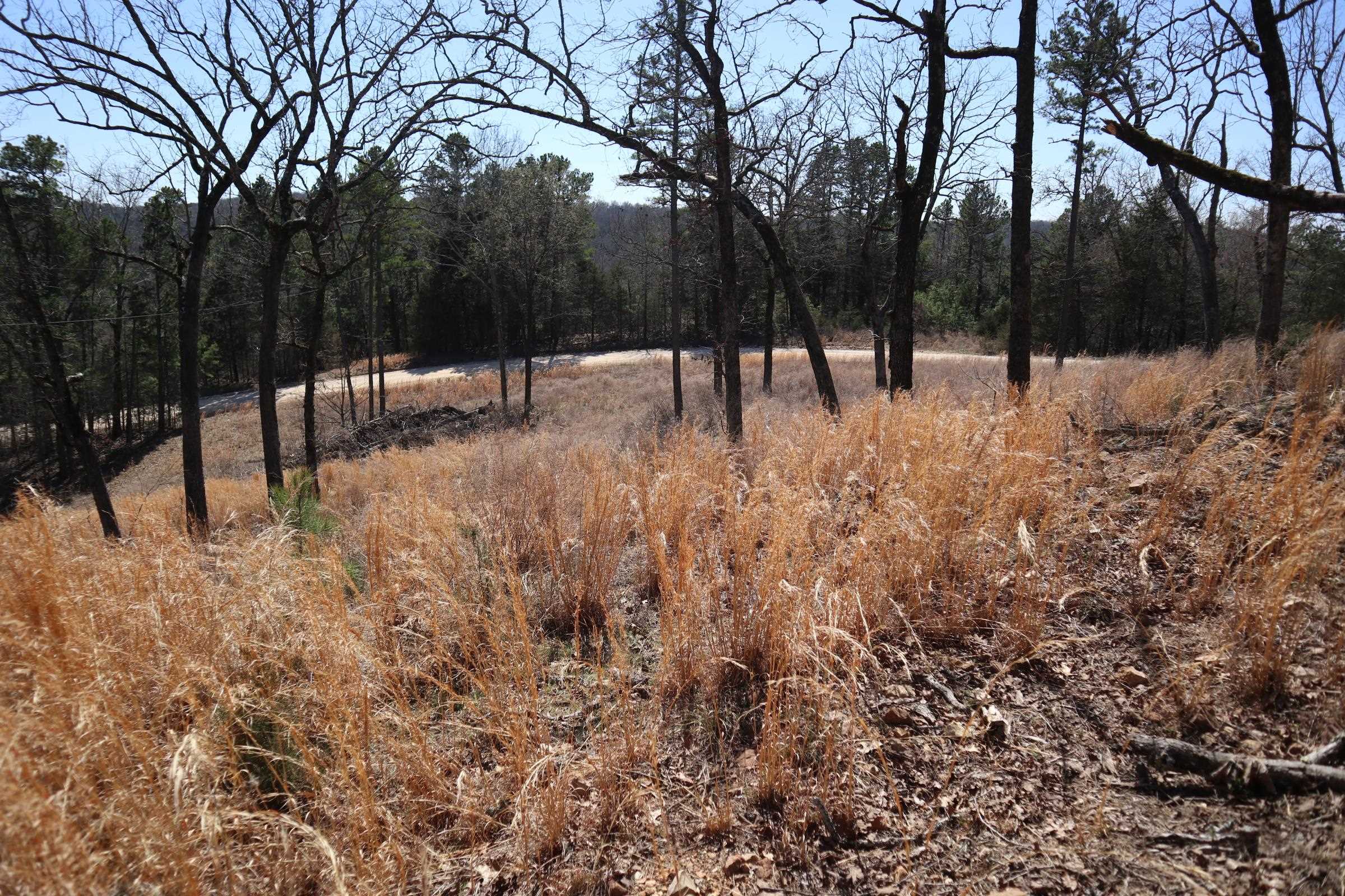 TBD  Glade Hill Rd  Elizabeth, AR