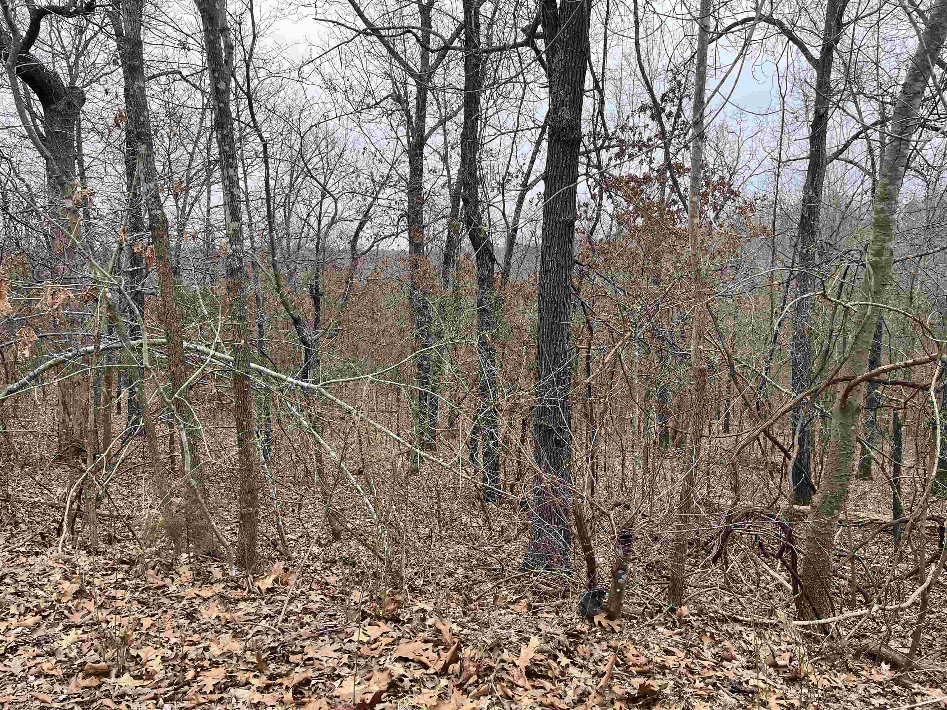 TBD  Akicita Dr  Cherokee Village, AR