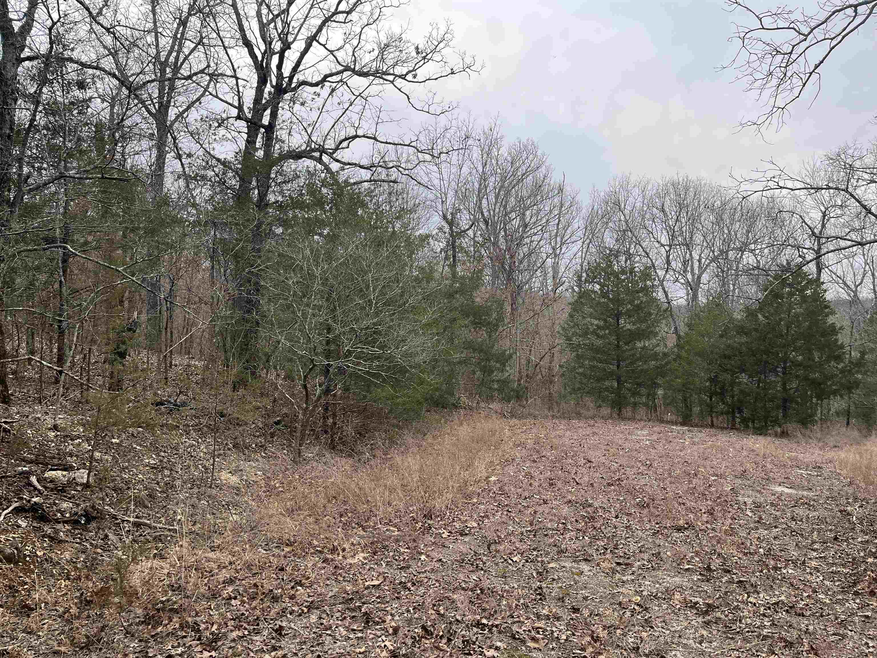 TBD  Owasso Lane  Cherokee Village, AR