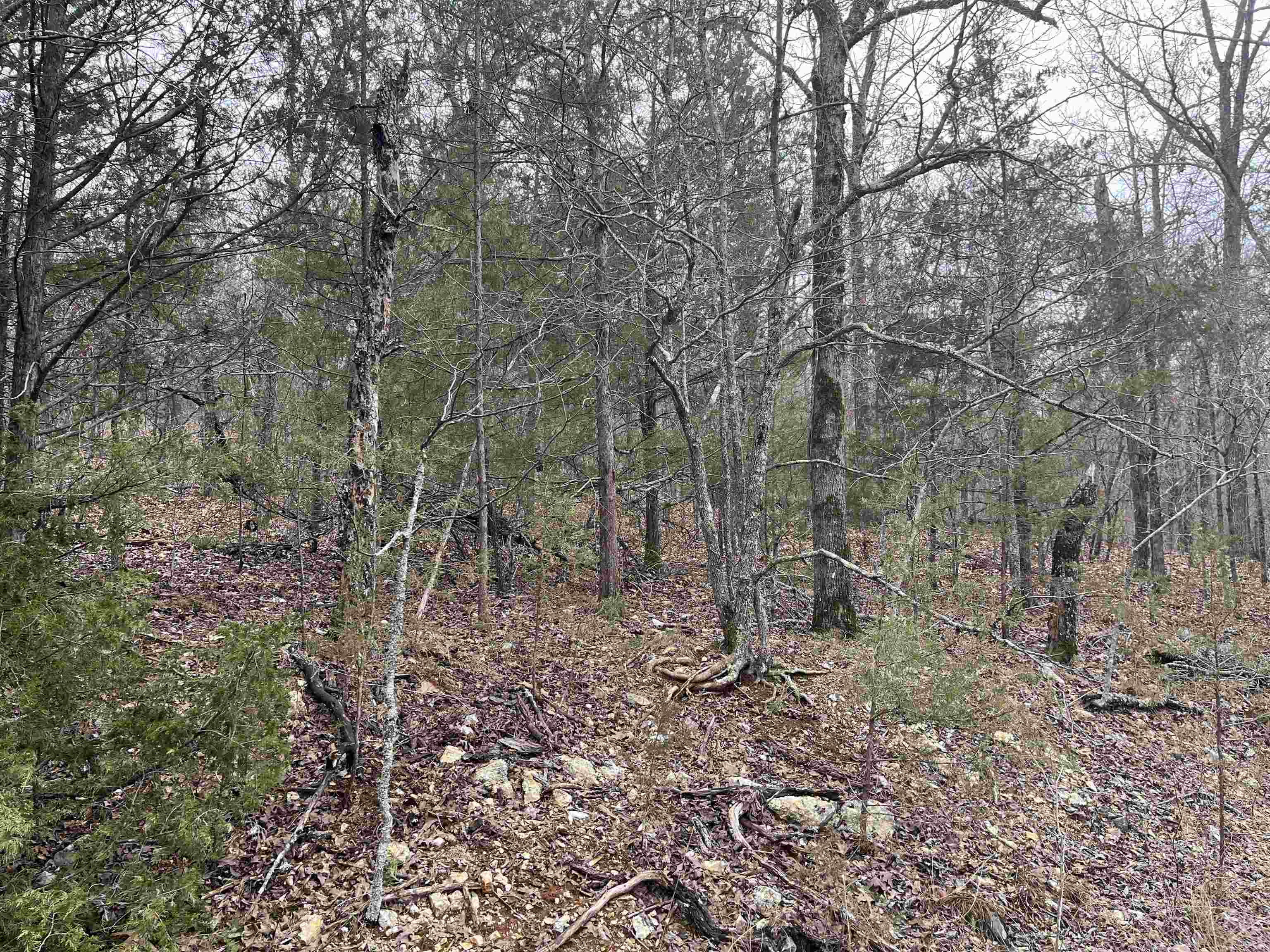 TBD  Owasso Lane  Cherokee Village, AR
