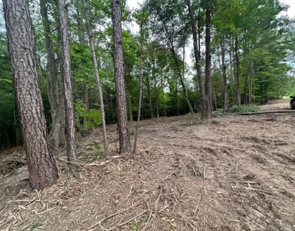 TBD  Cedar Grove  Arkadelphia, AR