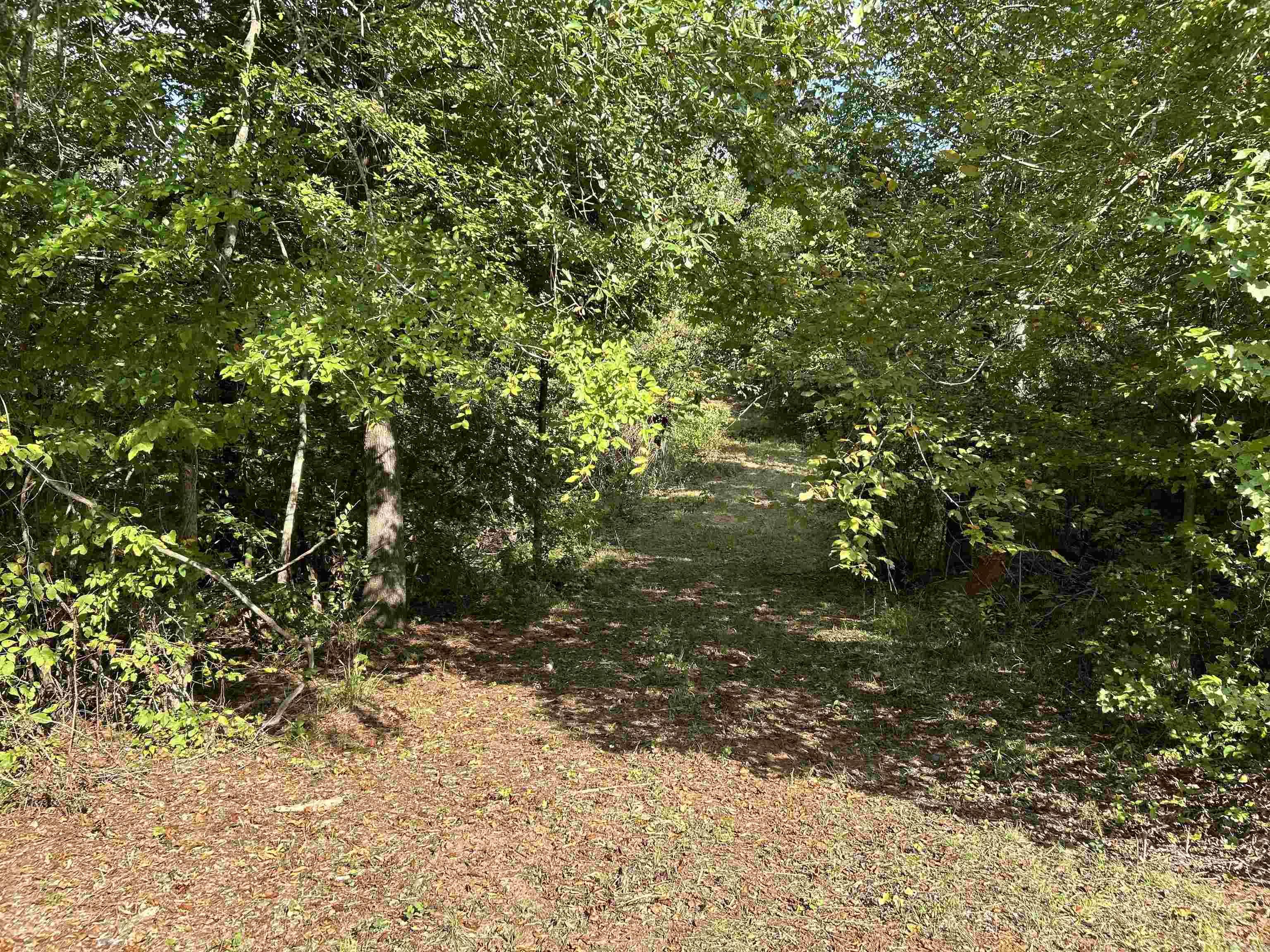 TBD  Cedar Grove  Arkadelphia, AR