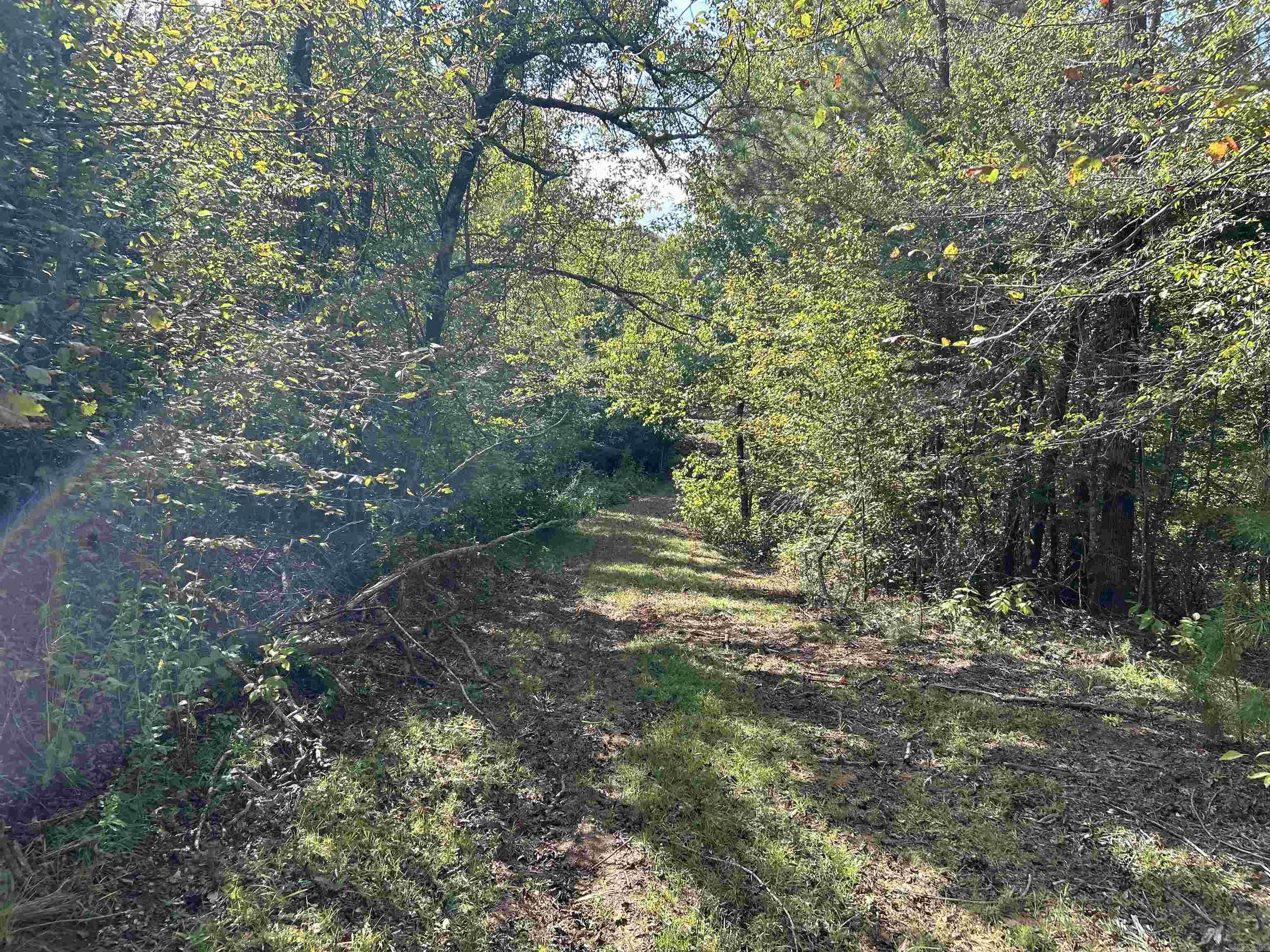 TBD  Cedar Grove  Arkadelphia, AR