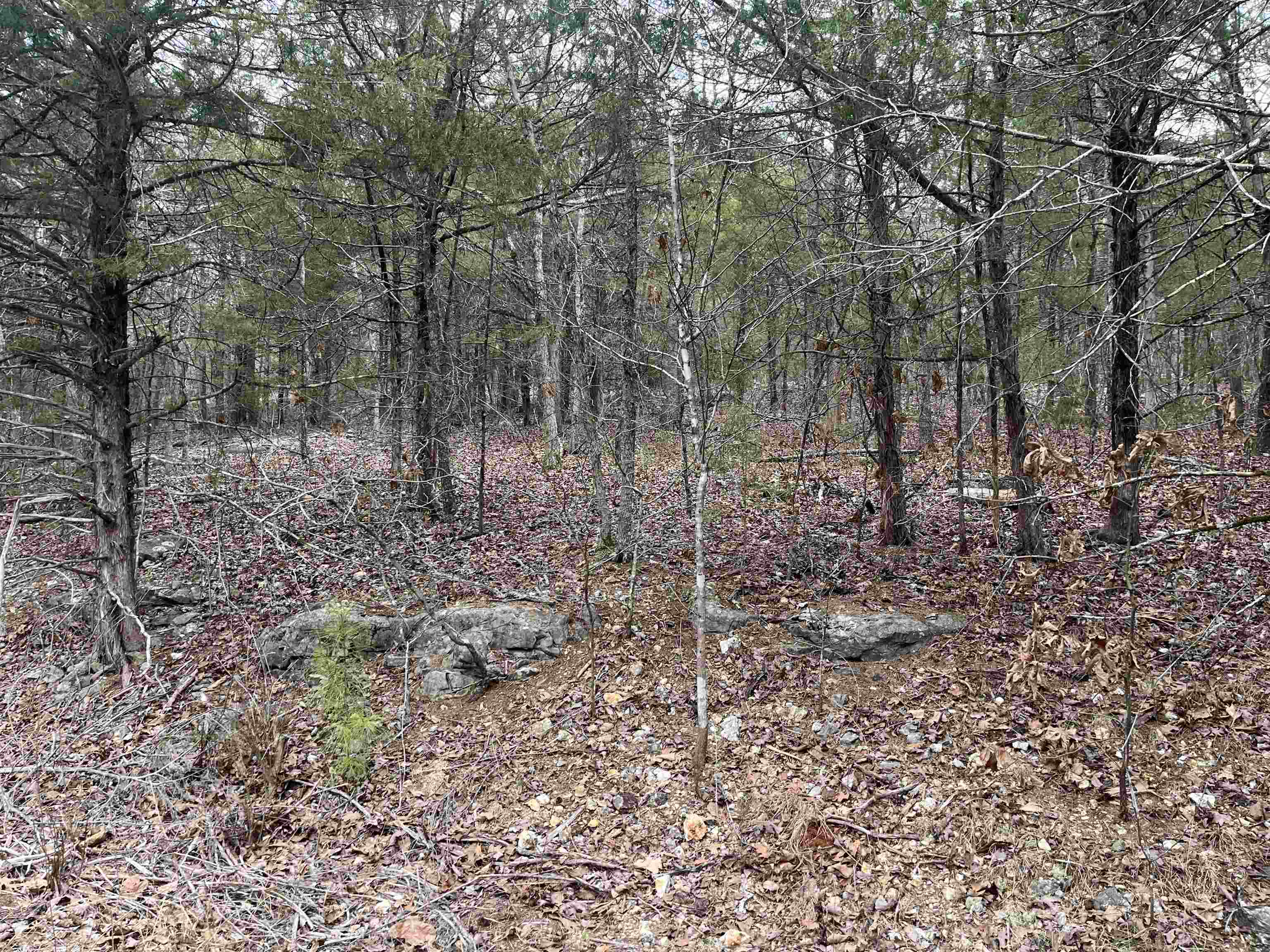 TBD  San Ildefonso Trace  Cherokee Village, AR