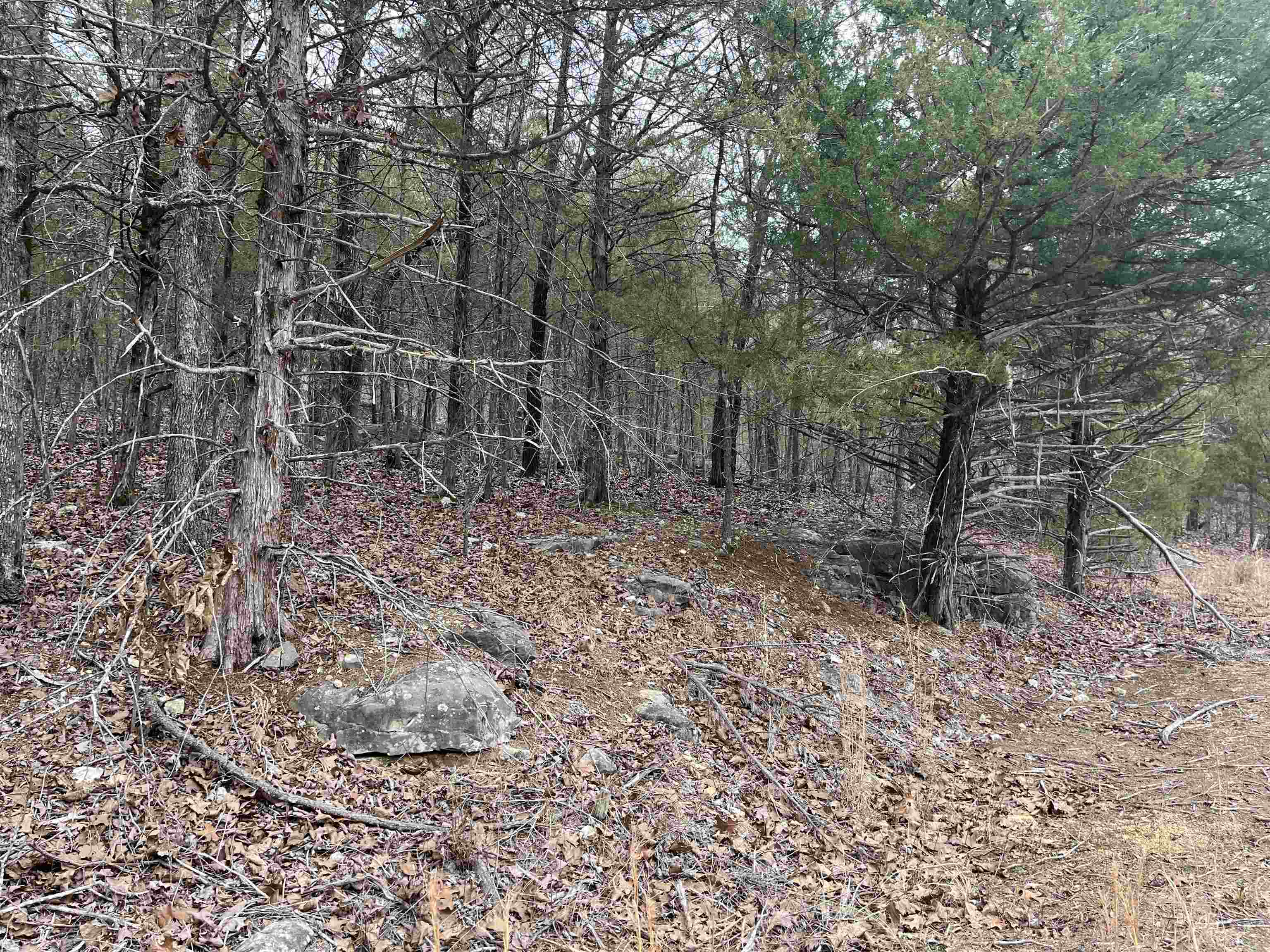 TBD  San Ildefonso Trace  Cherokee Village, AR