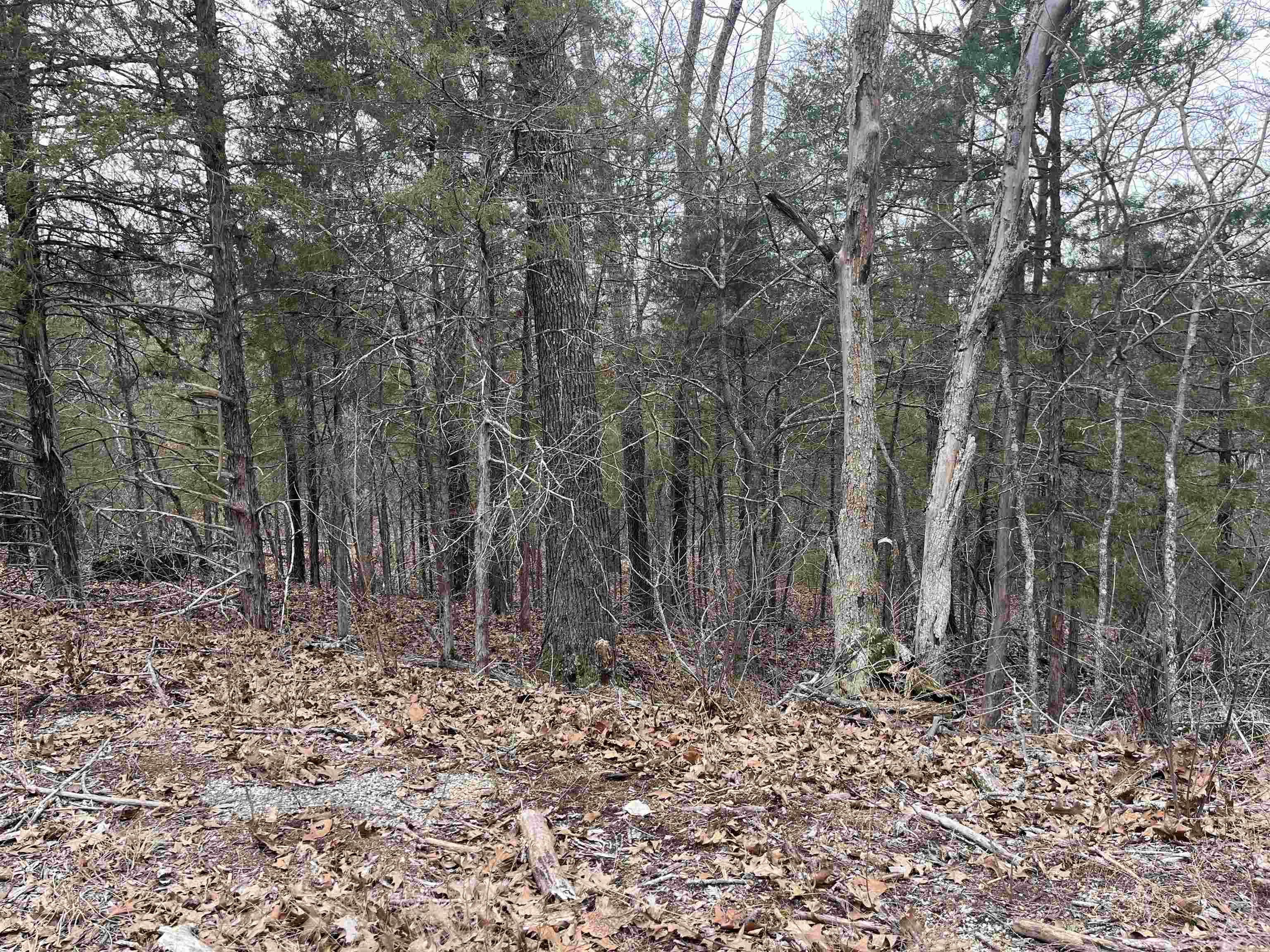 TBD  San Ildefonso Trace  Cherokee Village, AR