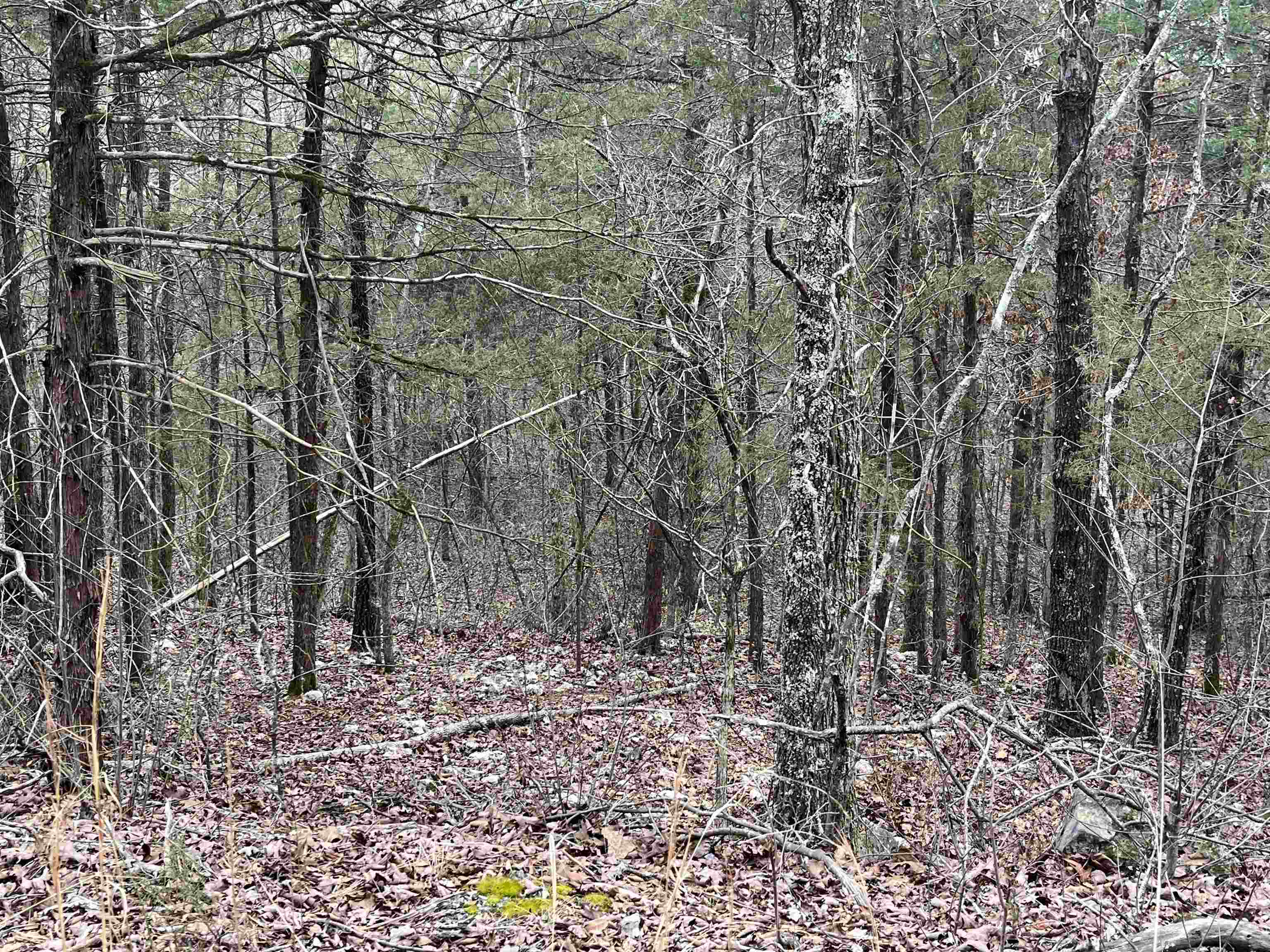 TBD  San Ildefonso Trace  Cherokee Village, AR