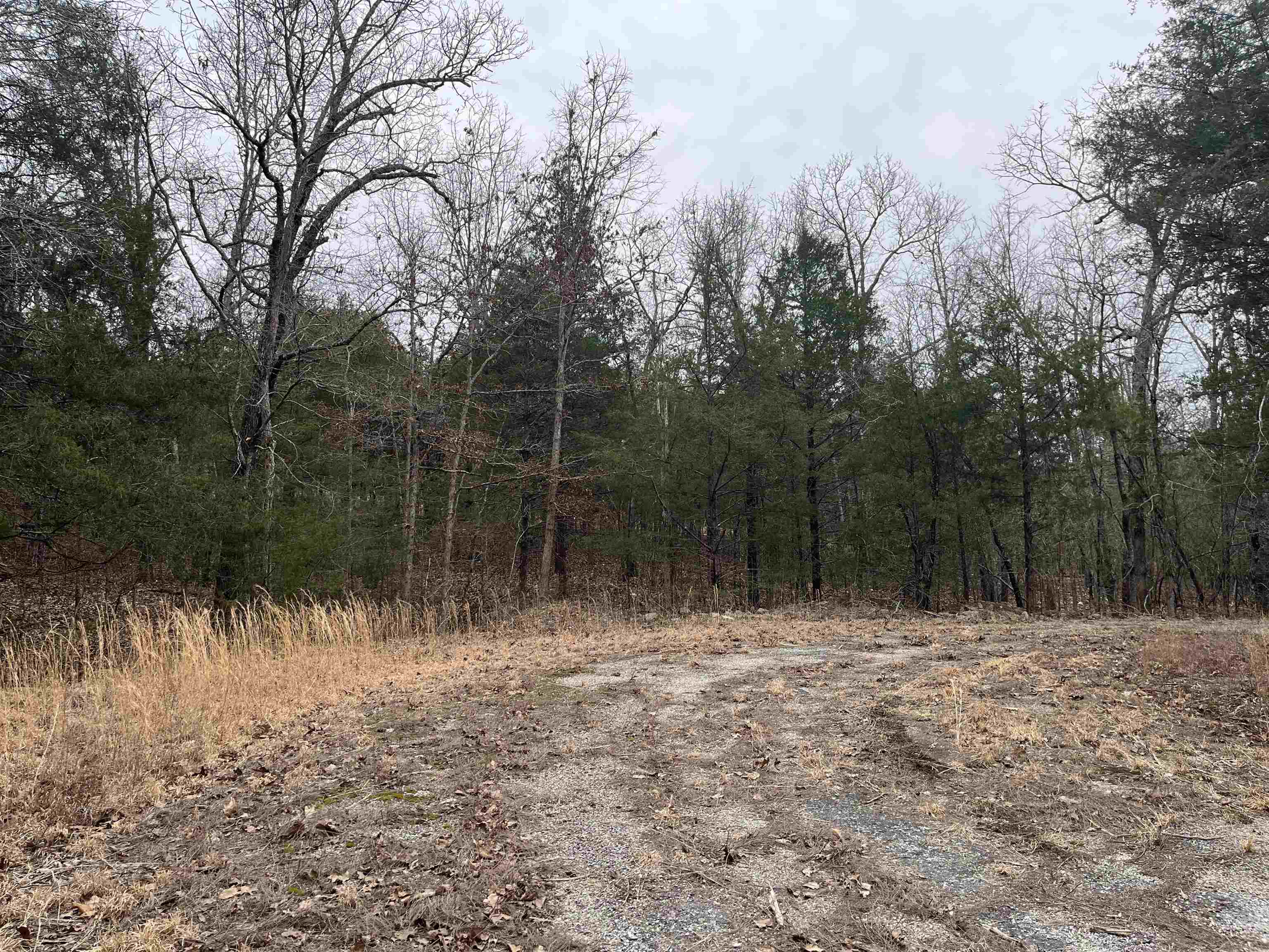 TBD  San Ildefonso Trace  Cherokee Village, AR
