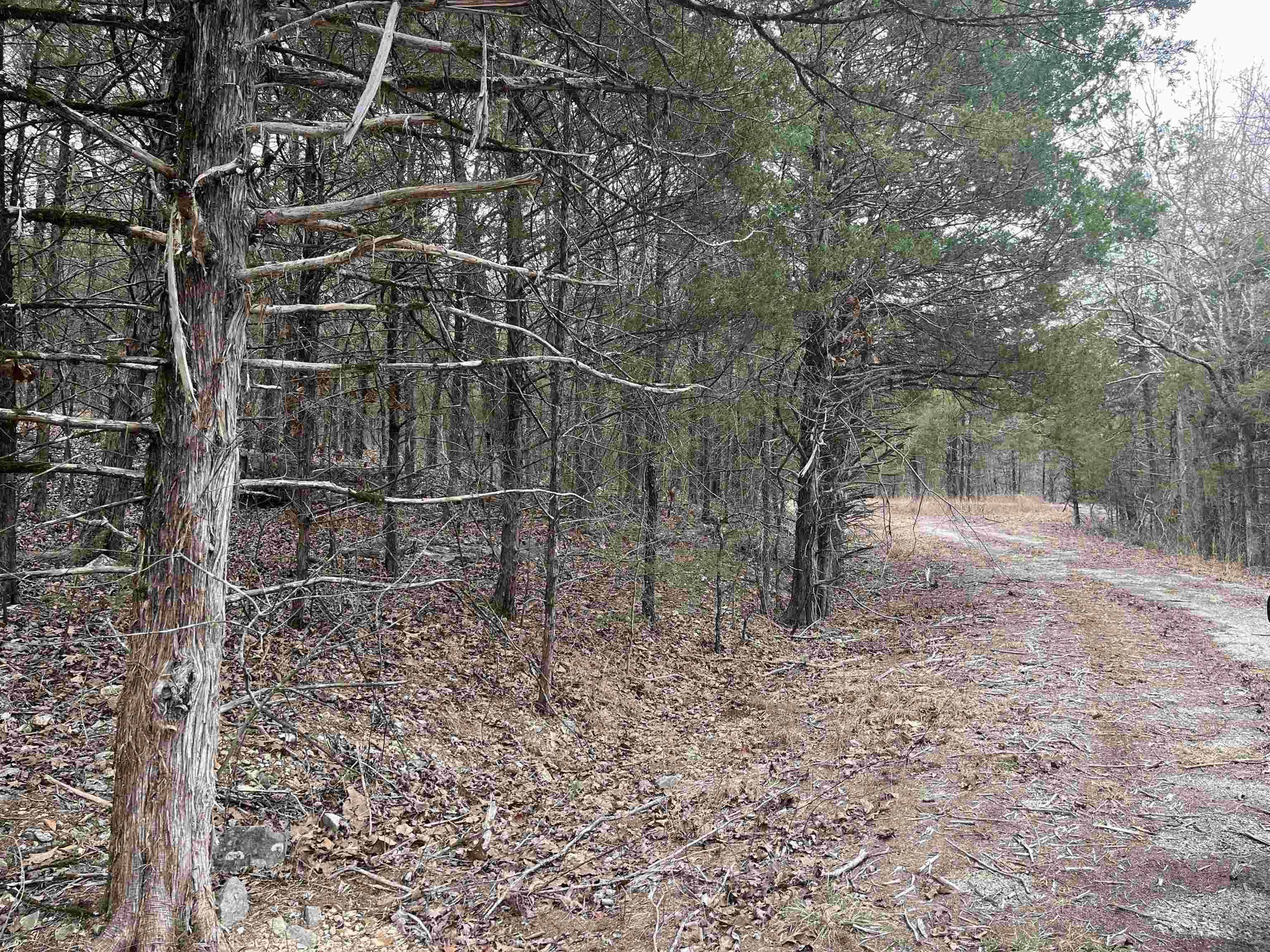 TBD  San Ildefonso Trace  Cherokee Village, AR