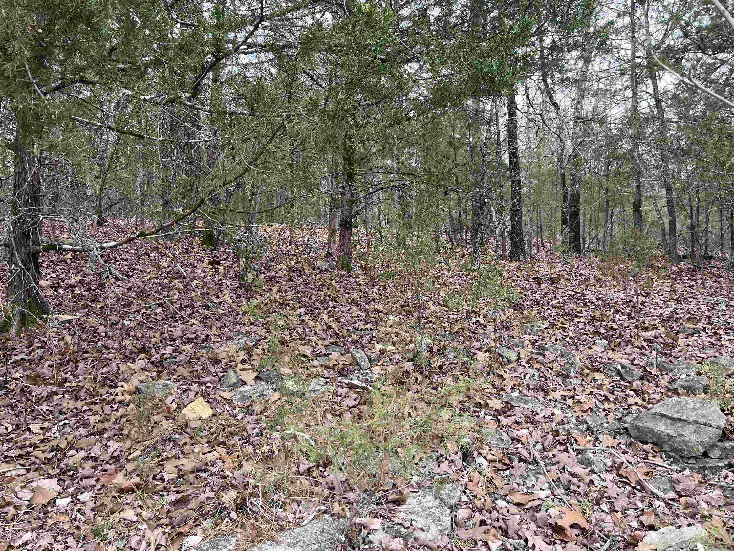 TBD  Isleta Drive  Cherokee Village, AR