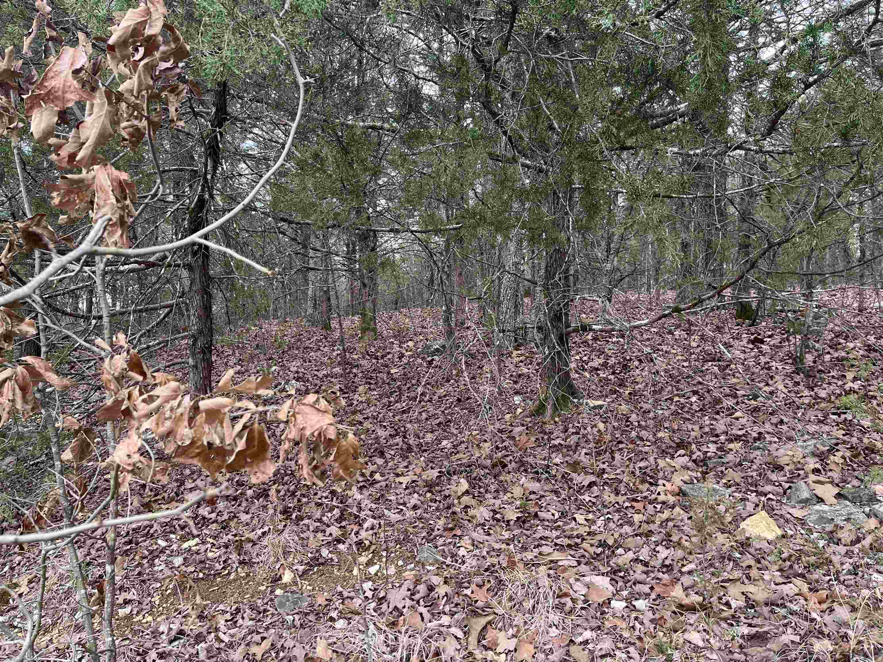 TBD  Isleta Drive  Cherokee Village, AR