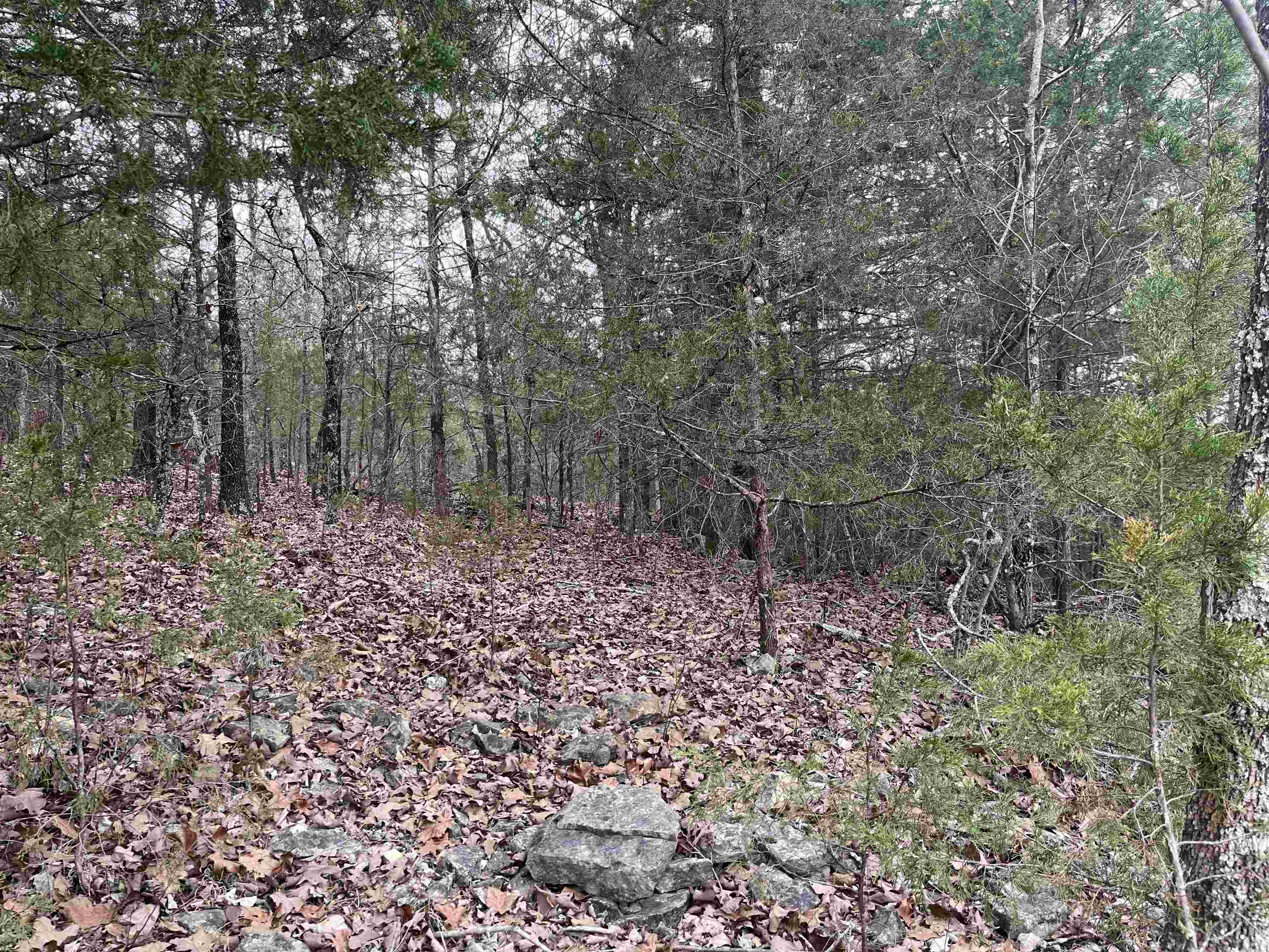 TBD  Isleta Drive  Cherokee Village, AR