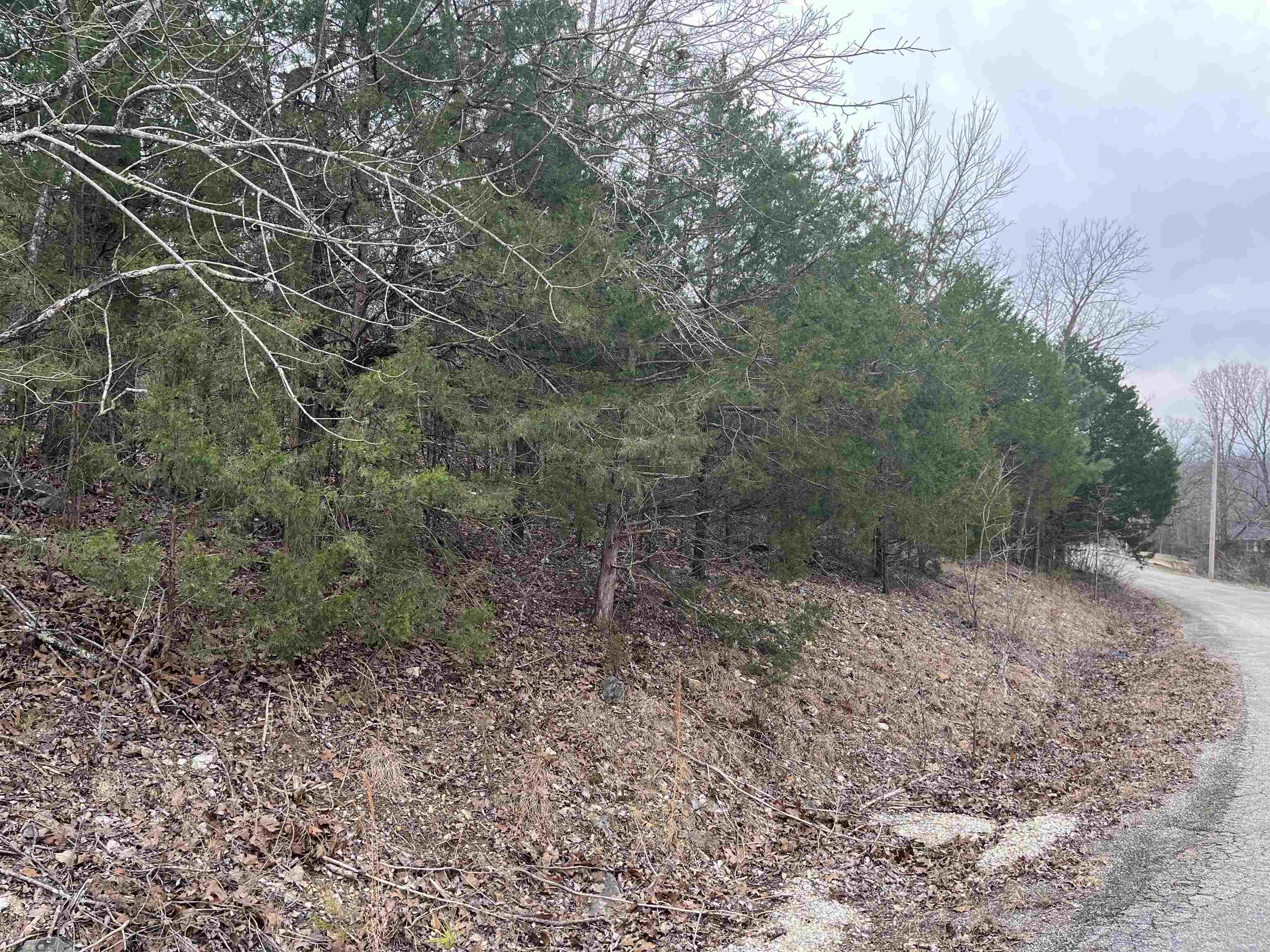 TBD  Isleta Drive  Cherokee Village, AR