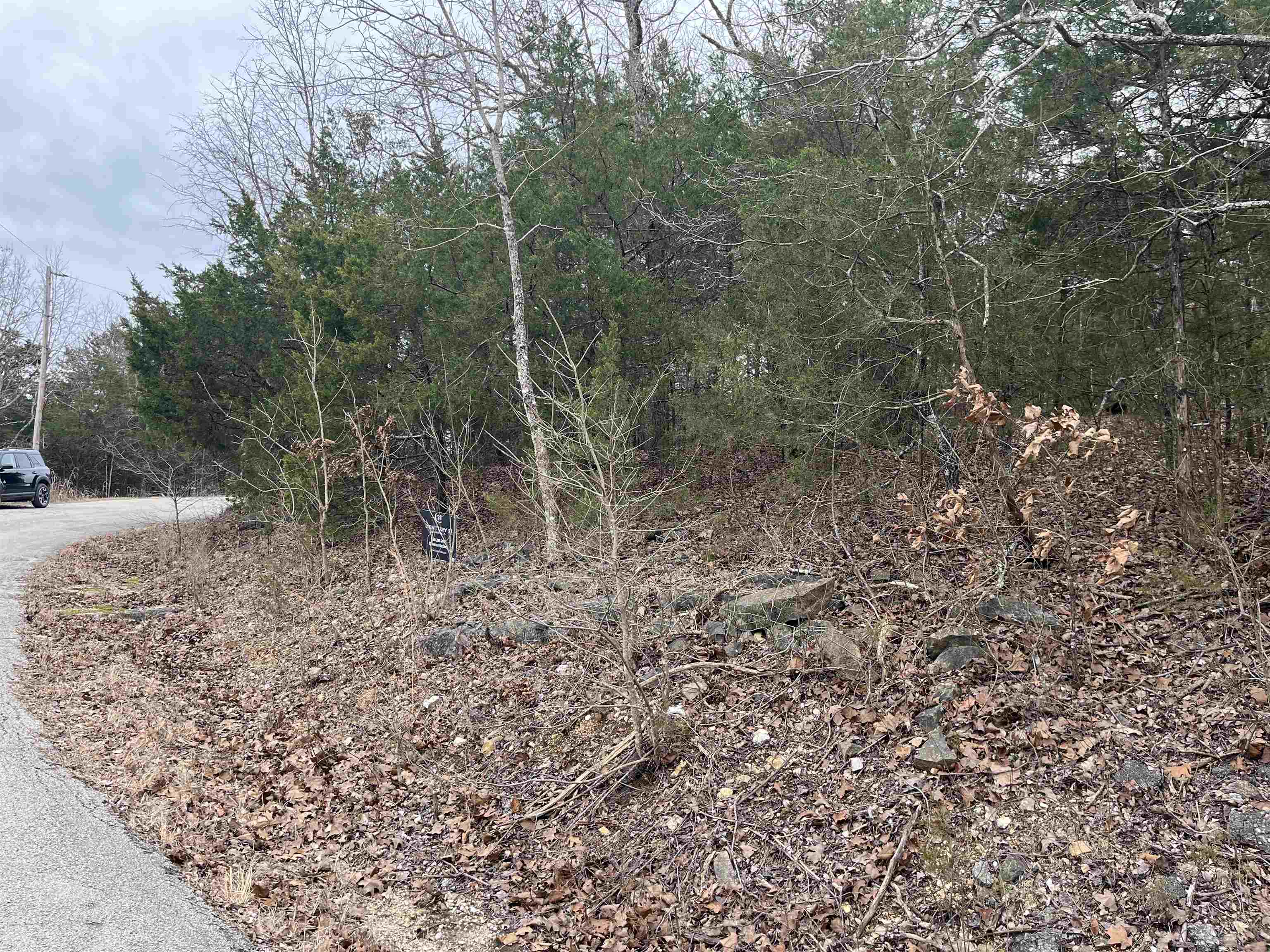 TBD  Isleta Drive  Cherokee Village, AR