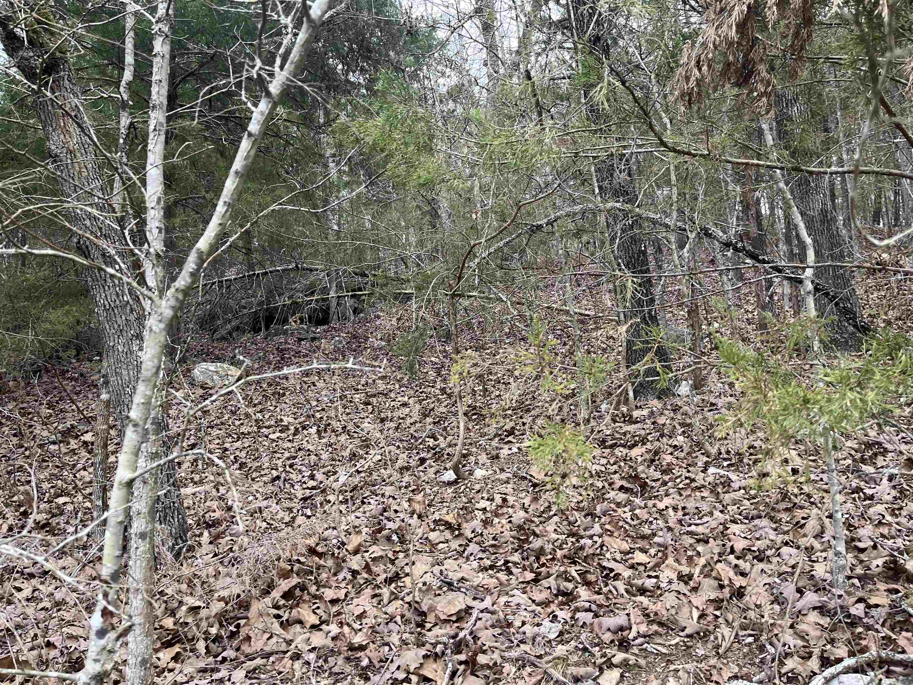 TBD  Isleta  Cherokee Village, AR