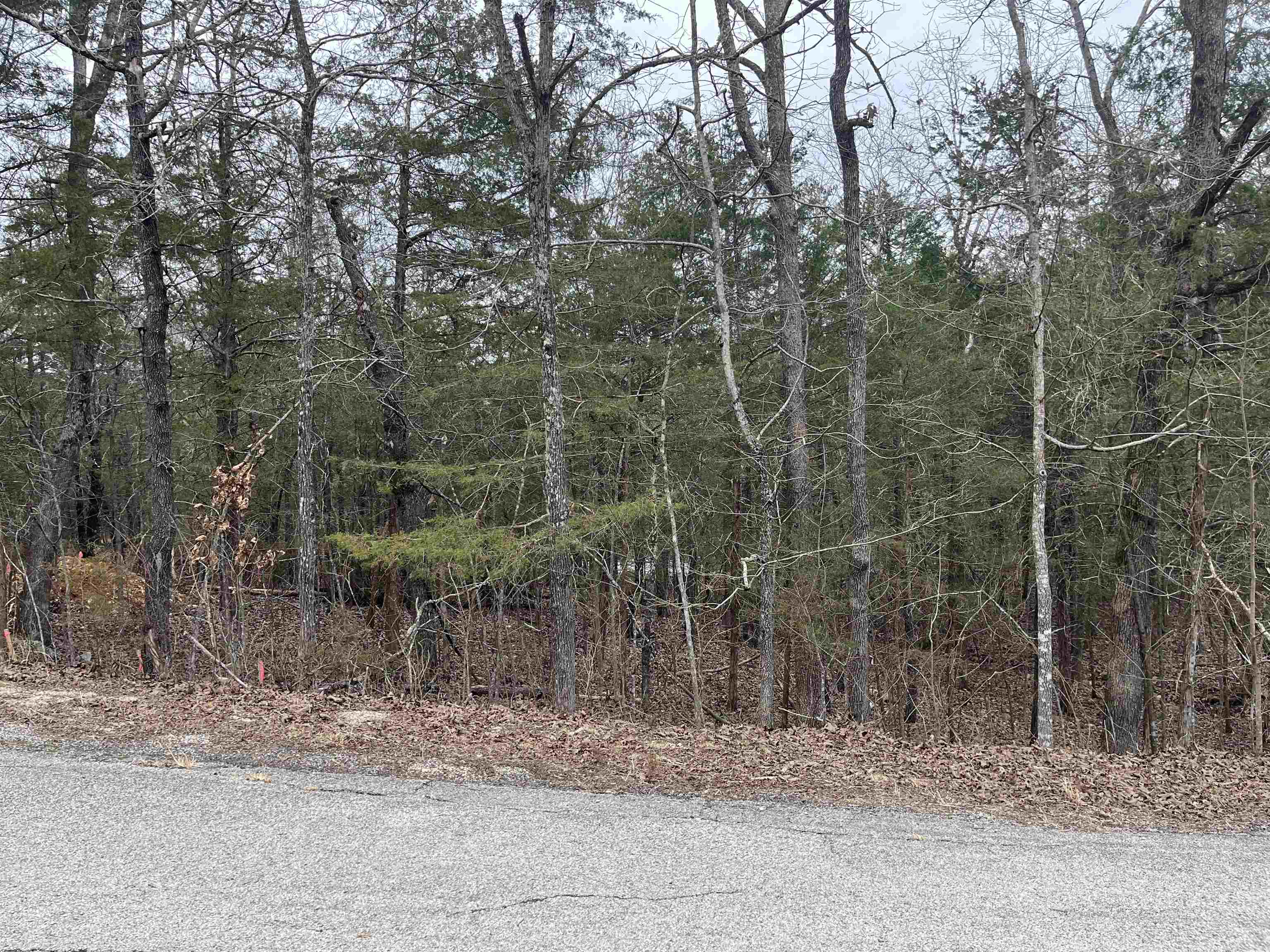 TBD  Isleta  Cherokee Village, AR