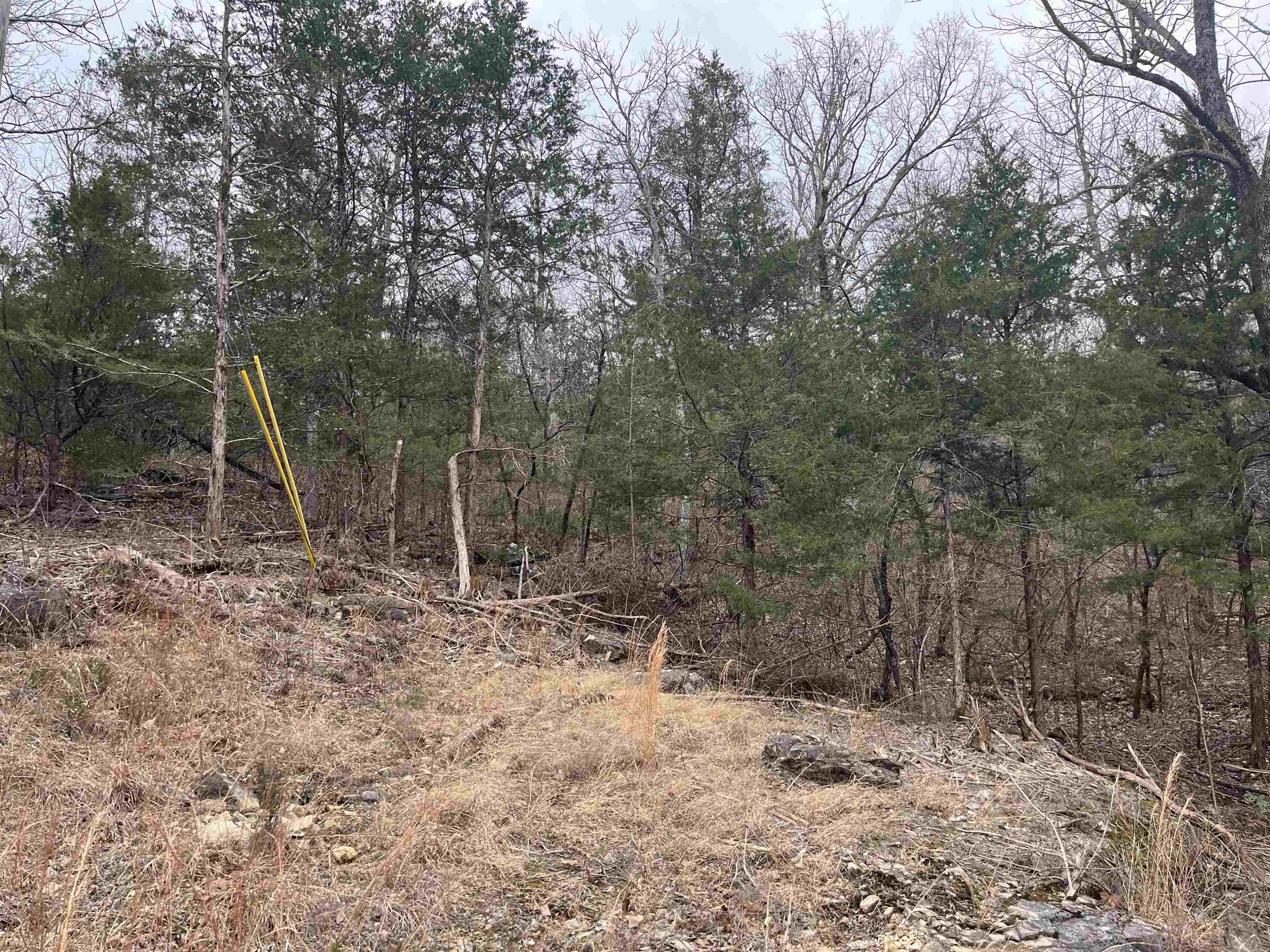 TBD  Isleta Drive  Cherokee Village, AR