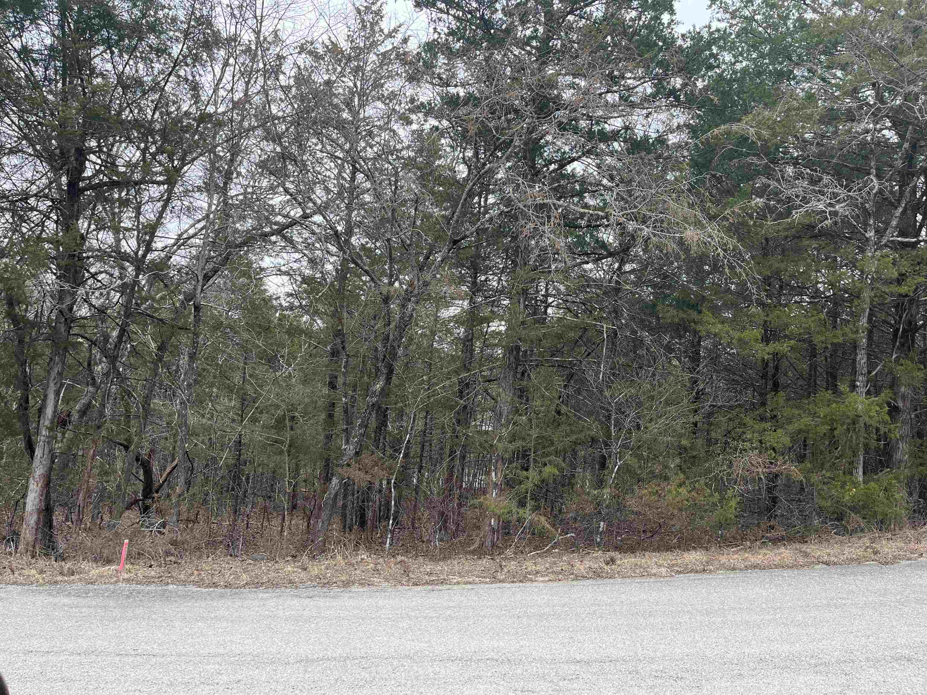 TBD  Isleta Drive  Cherokee Village, AR