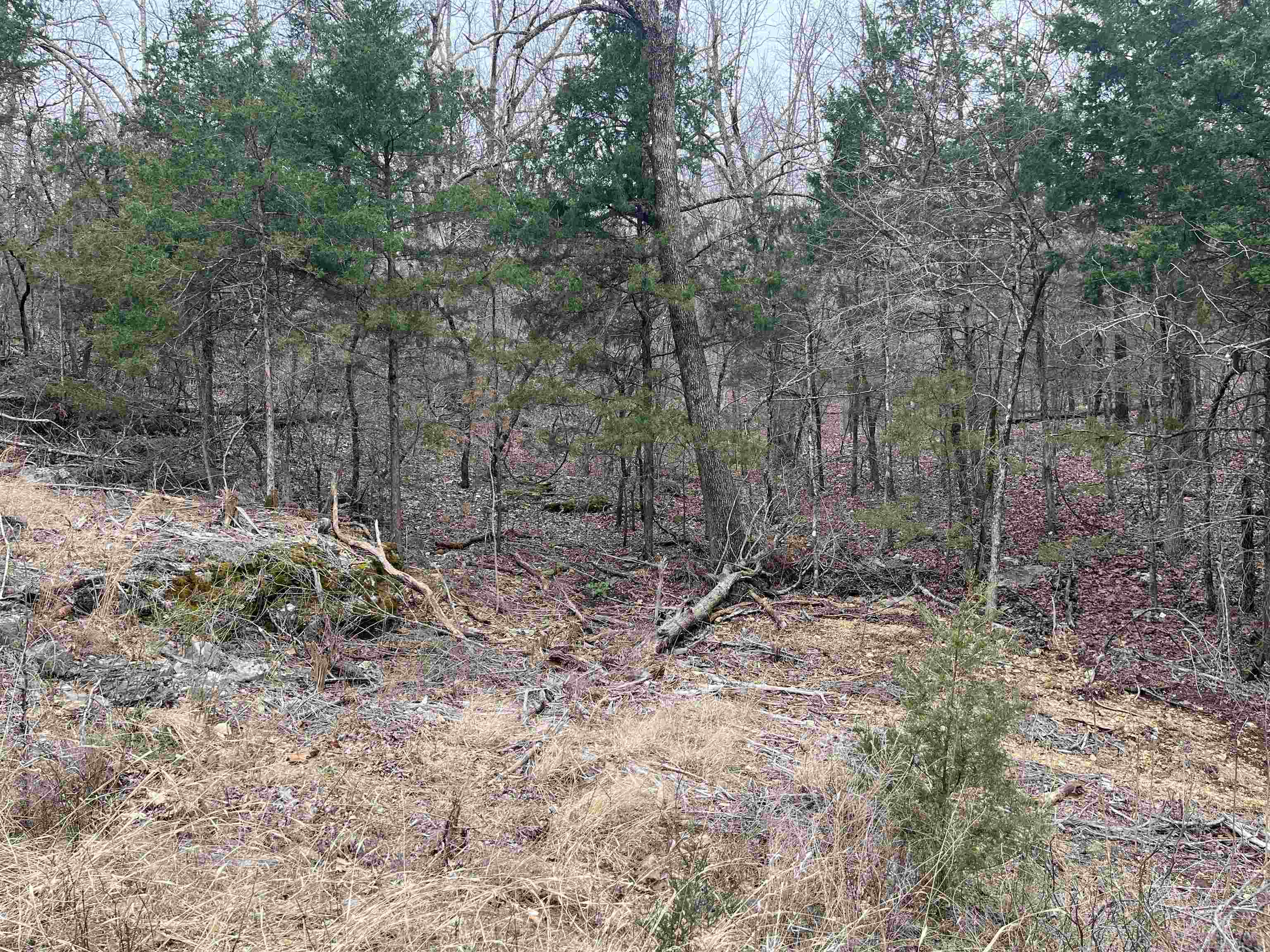 TBD  Isleta Drive  Cherokee Village, AR