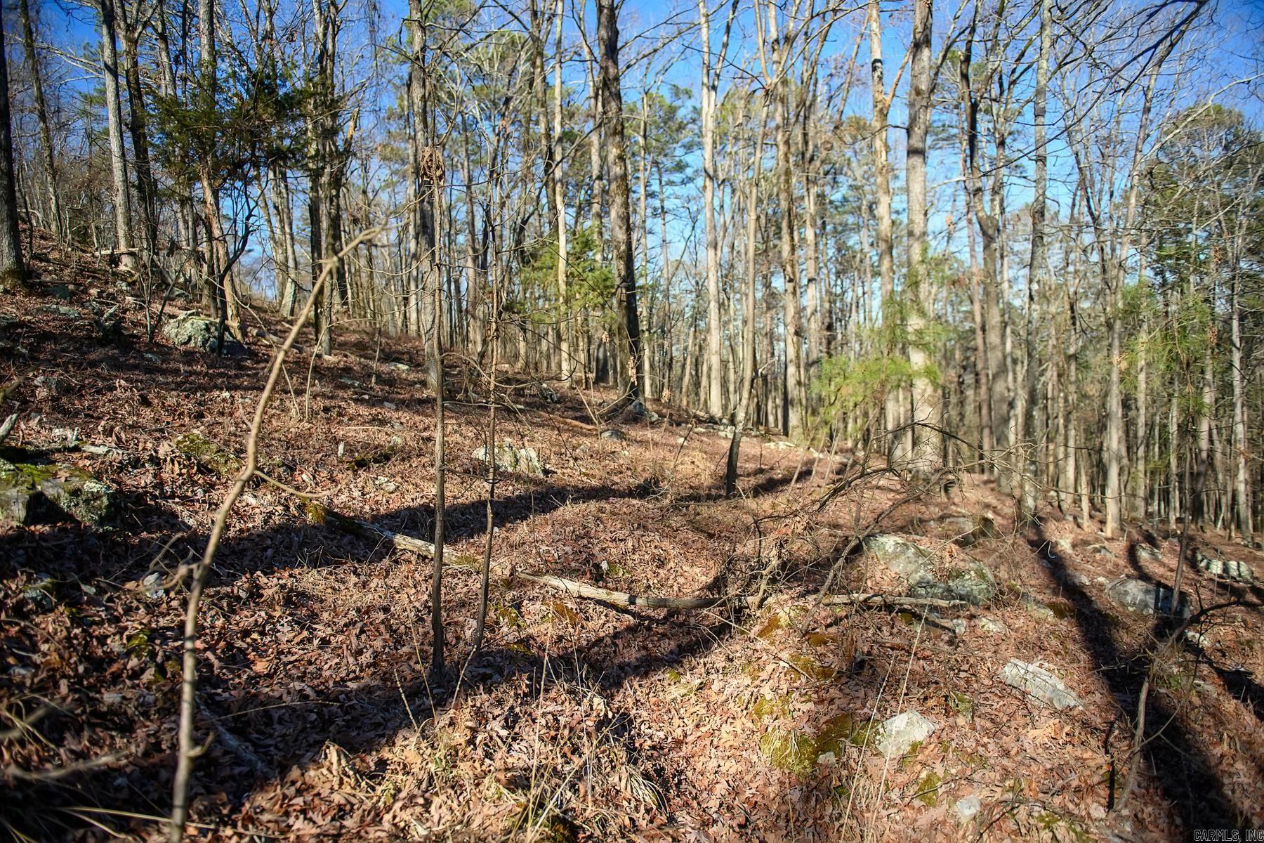100  Jaradilla  Hot Springs Village, AR
