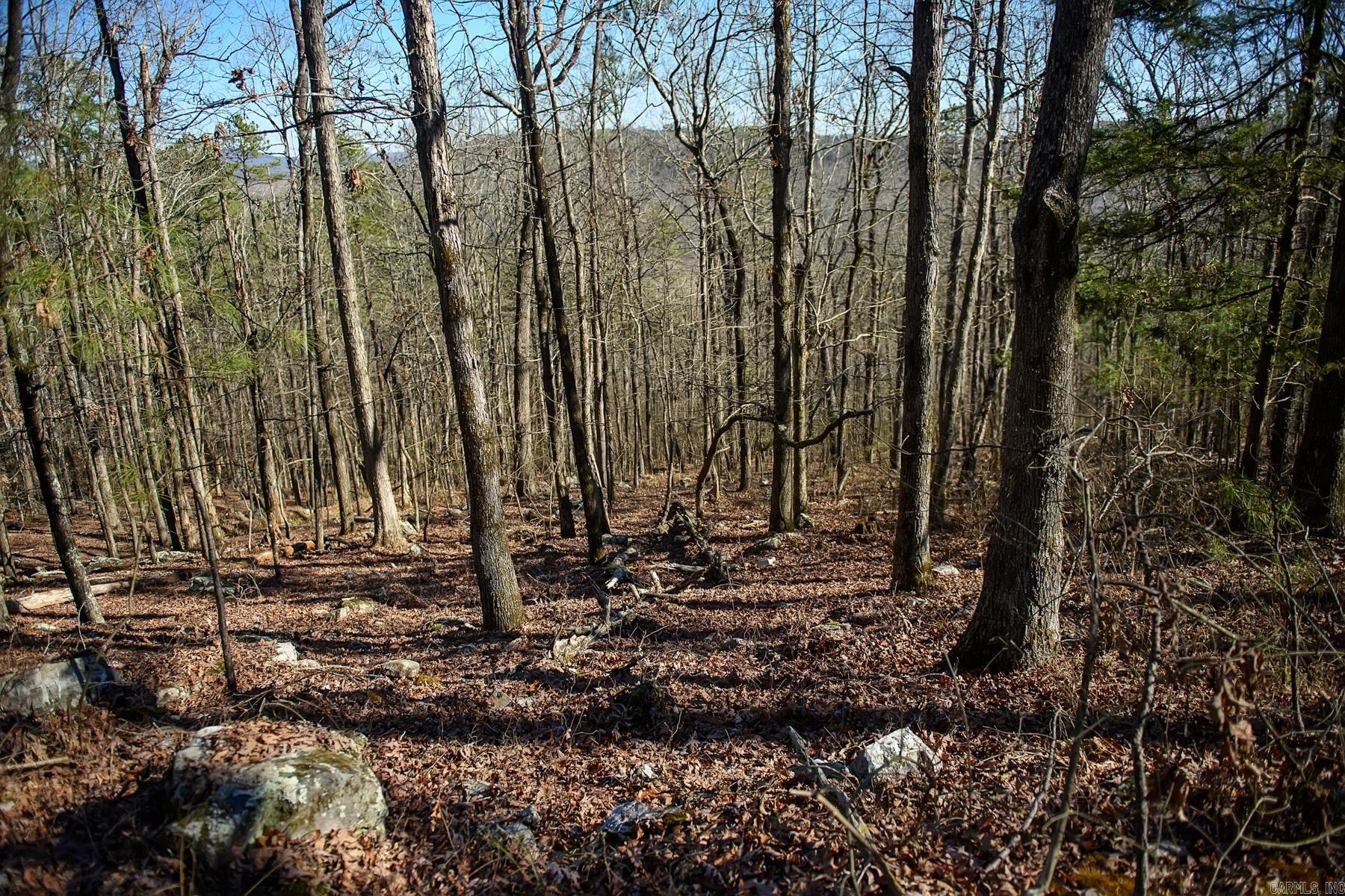 100  Jaradilla  Hot Springs Village, AR