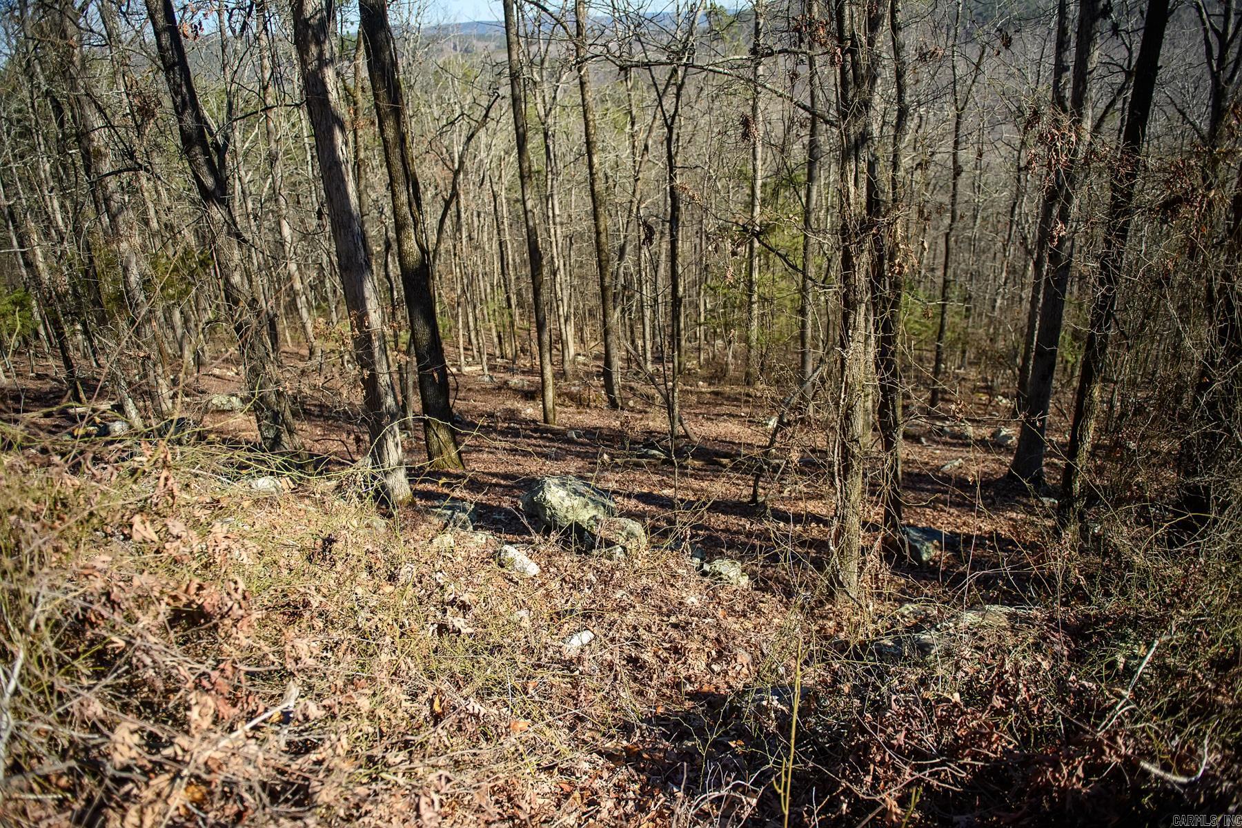100  Jaradilla  Hot Springs Village, AR