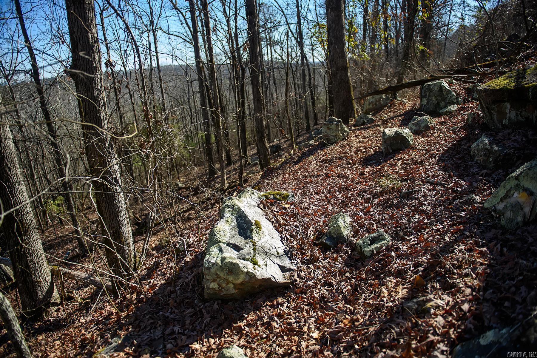 100  Jaradilla  Hot Springs Village, AR