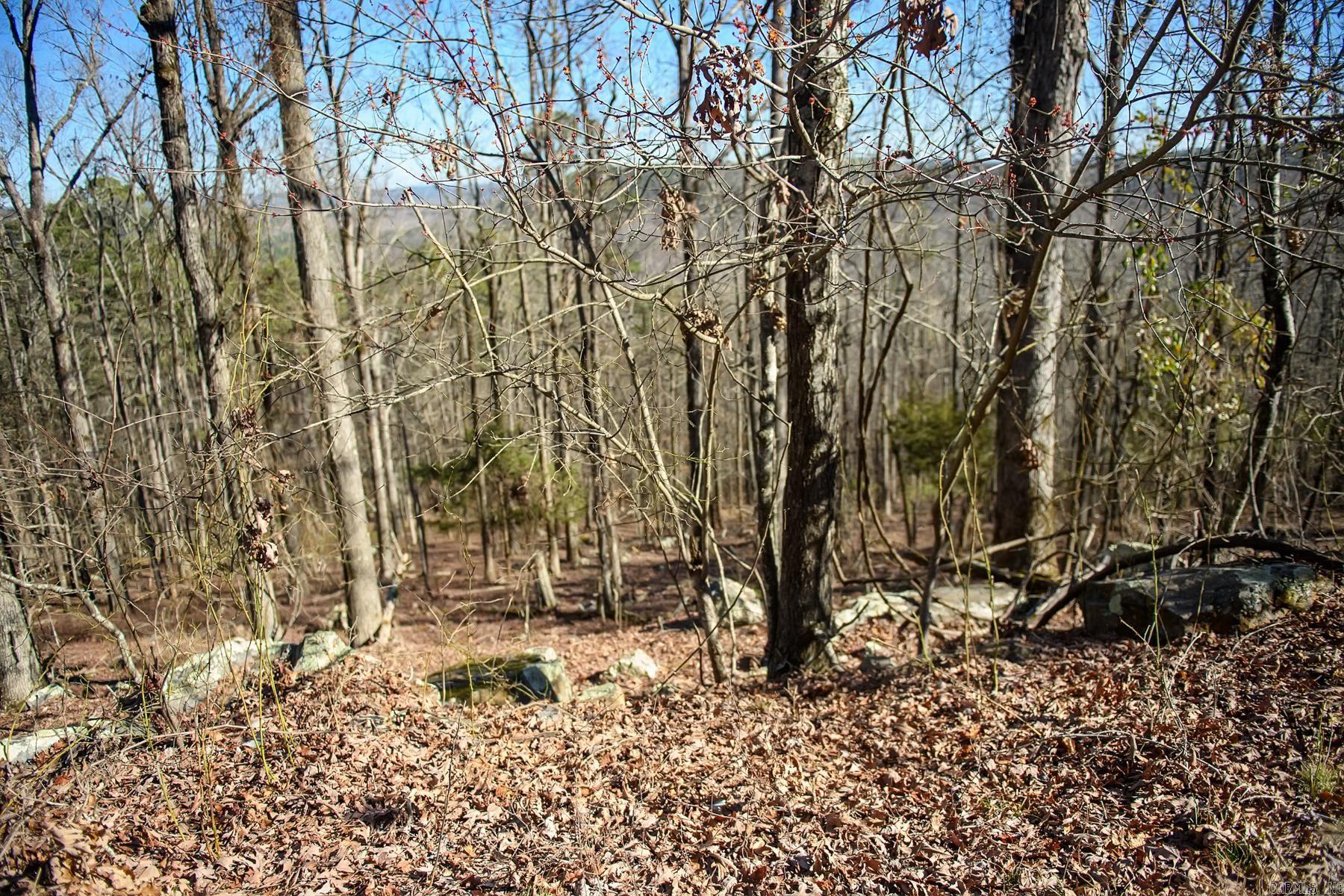 100  Jaradilla  Hot Springs Village, AR