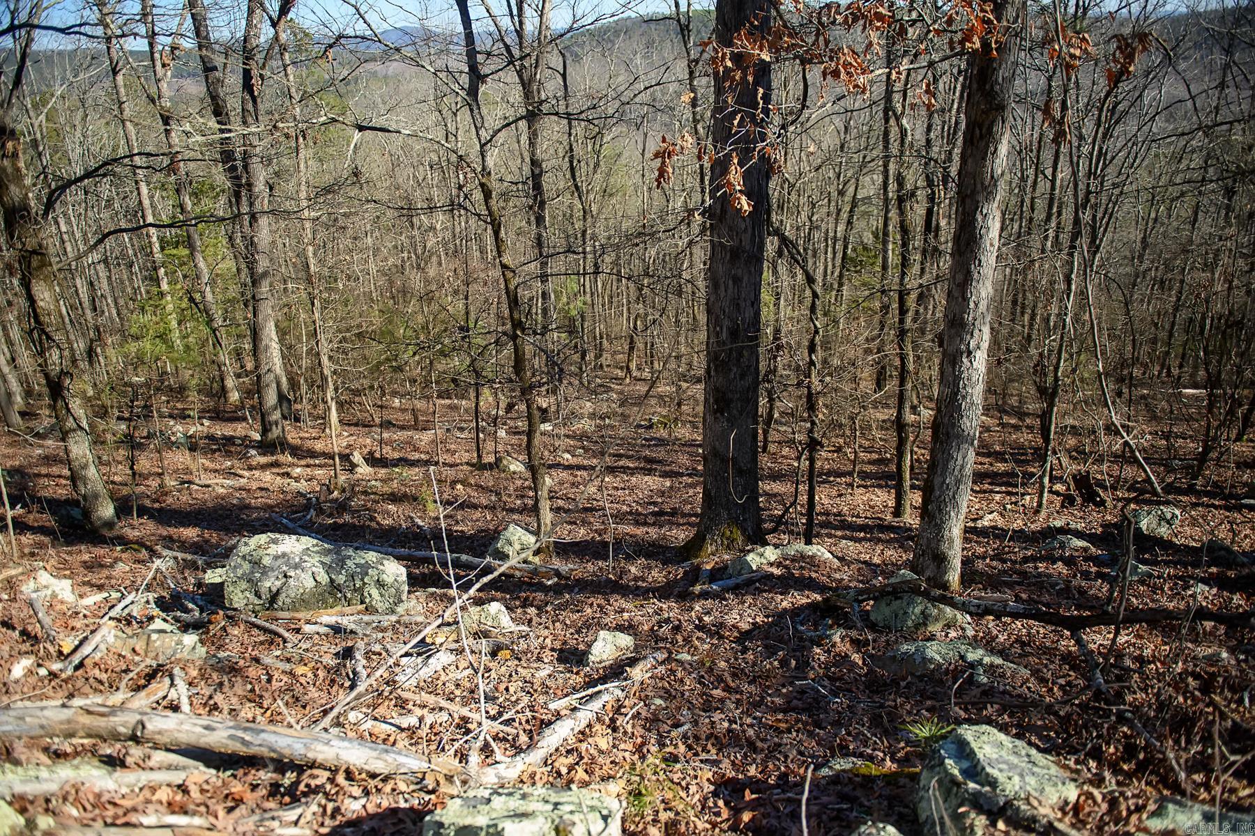 100  Jaradilla  Hot Springs Village, AR