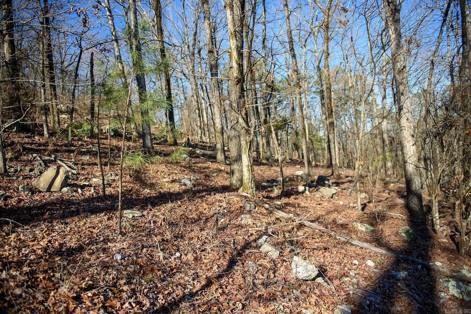 100  Jaradilla  Hot Springs Village, AR
