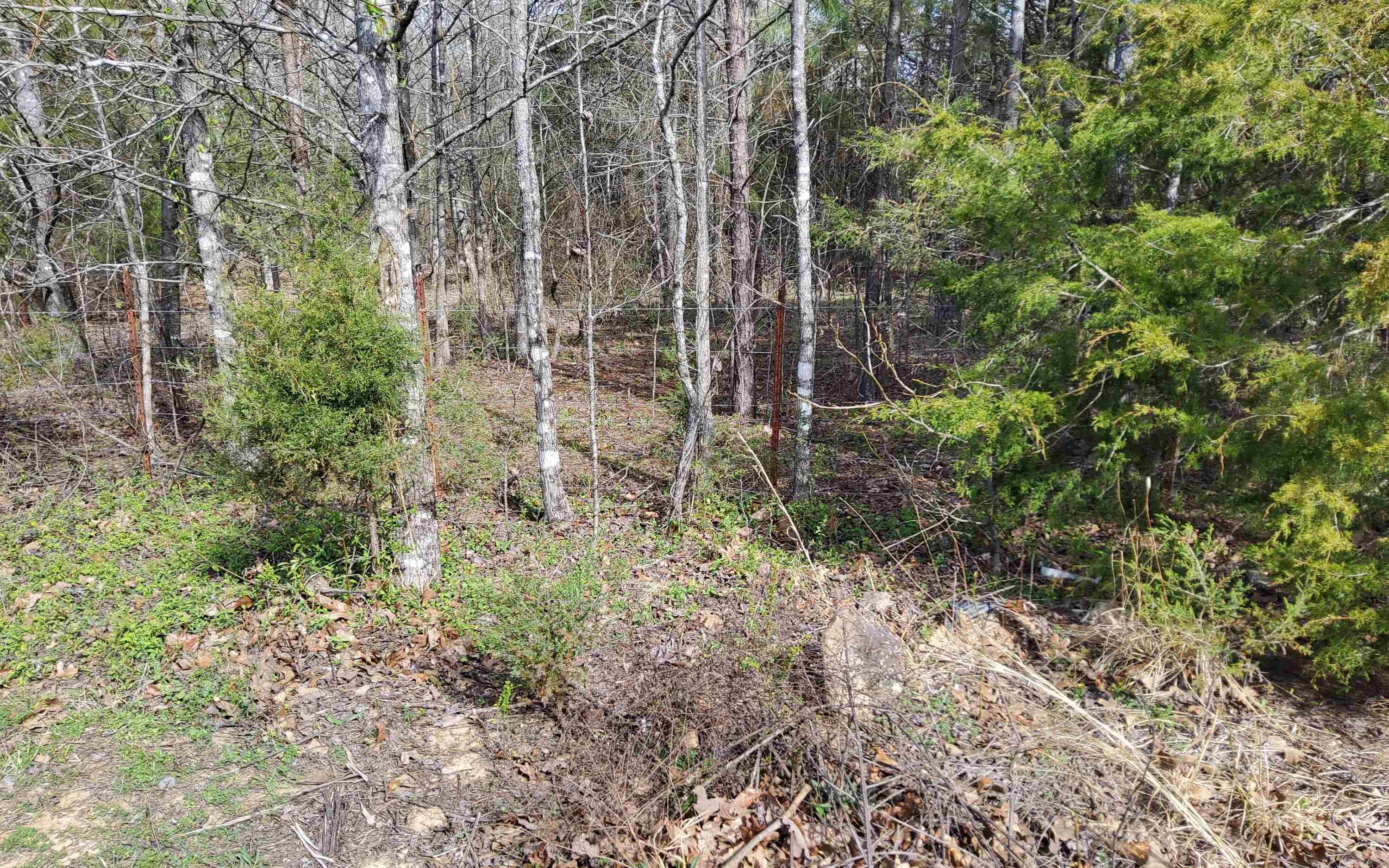 15 Stone Mountain  Conway, AR