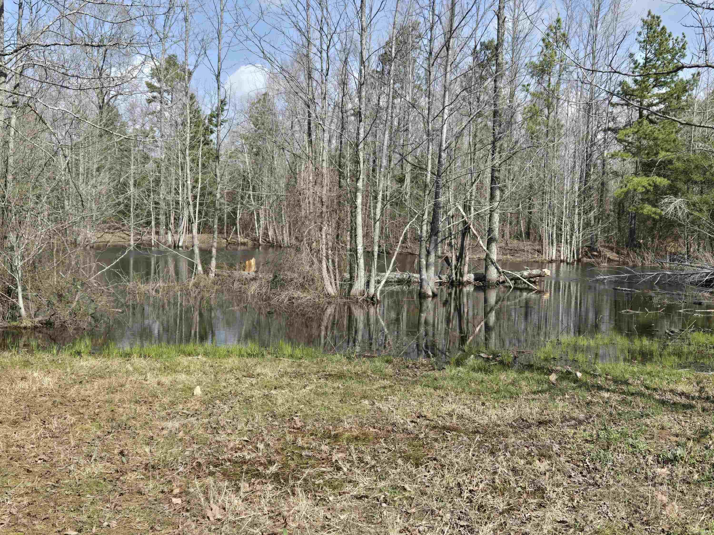 15 Stone Mountain  Conway, AR