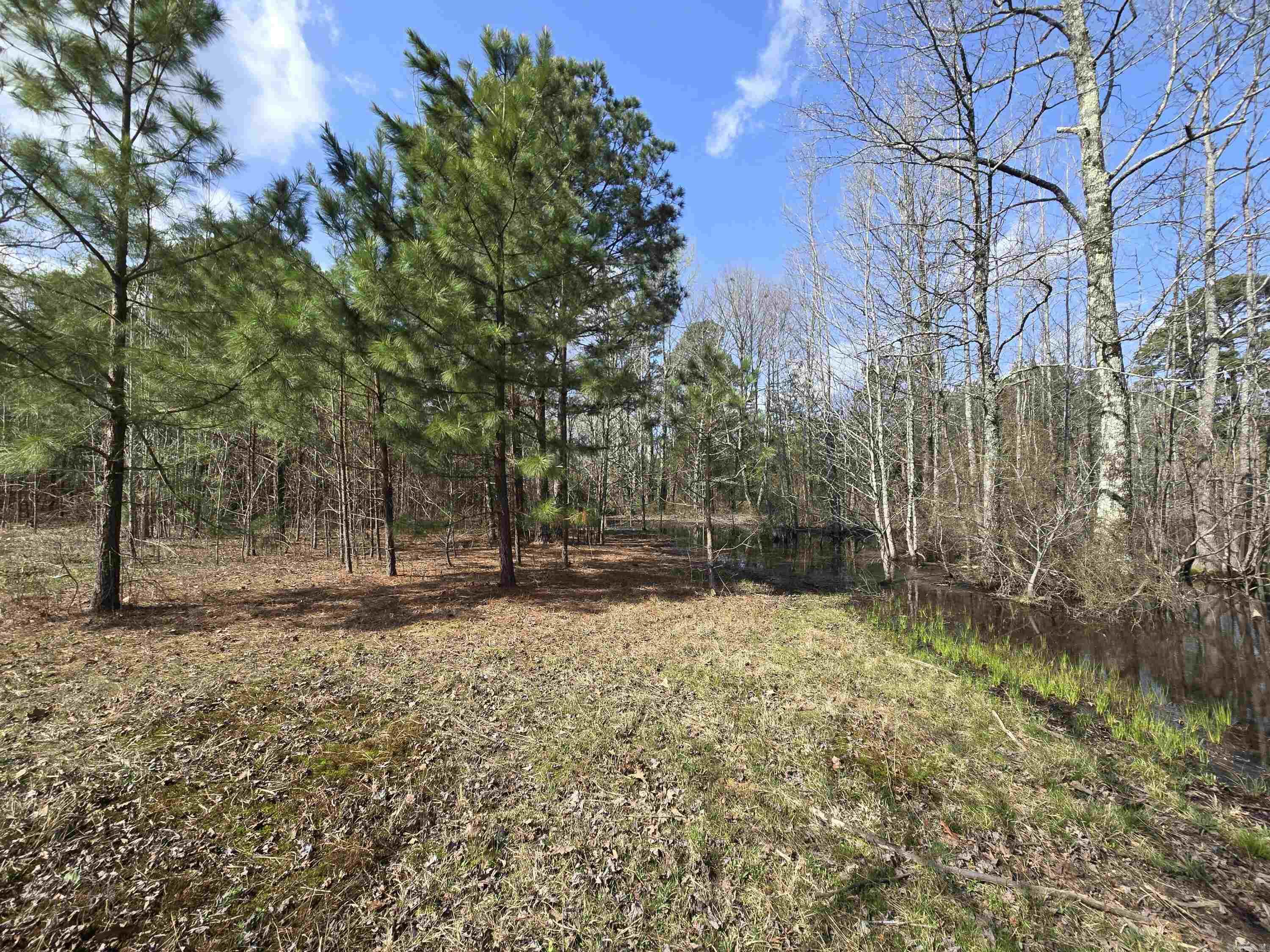 15 Stone Mountain  Conway, AR