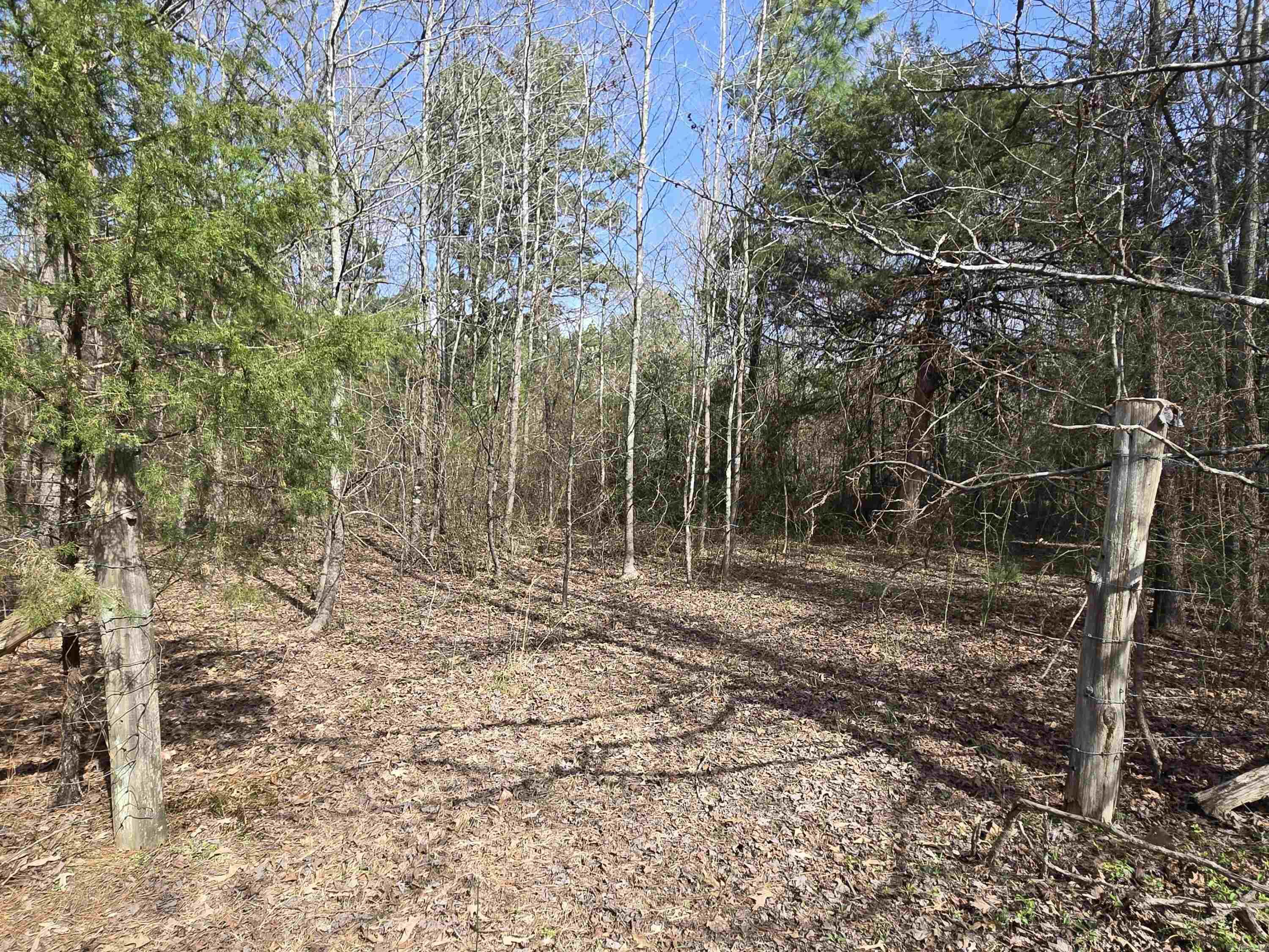15 Stone Mountain  Conway, AR