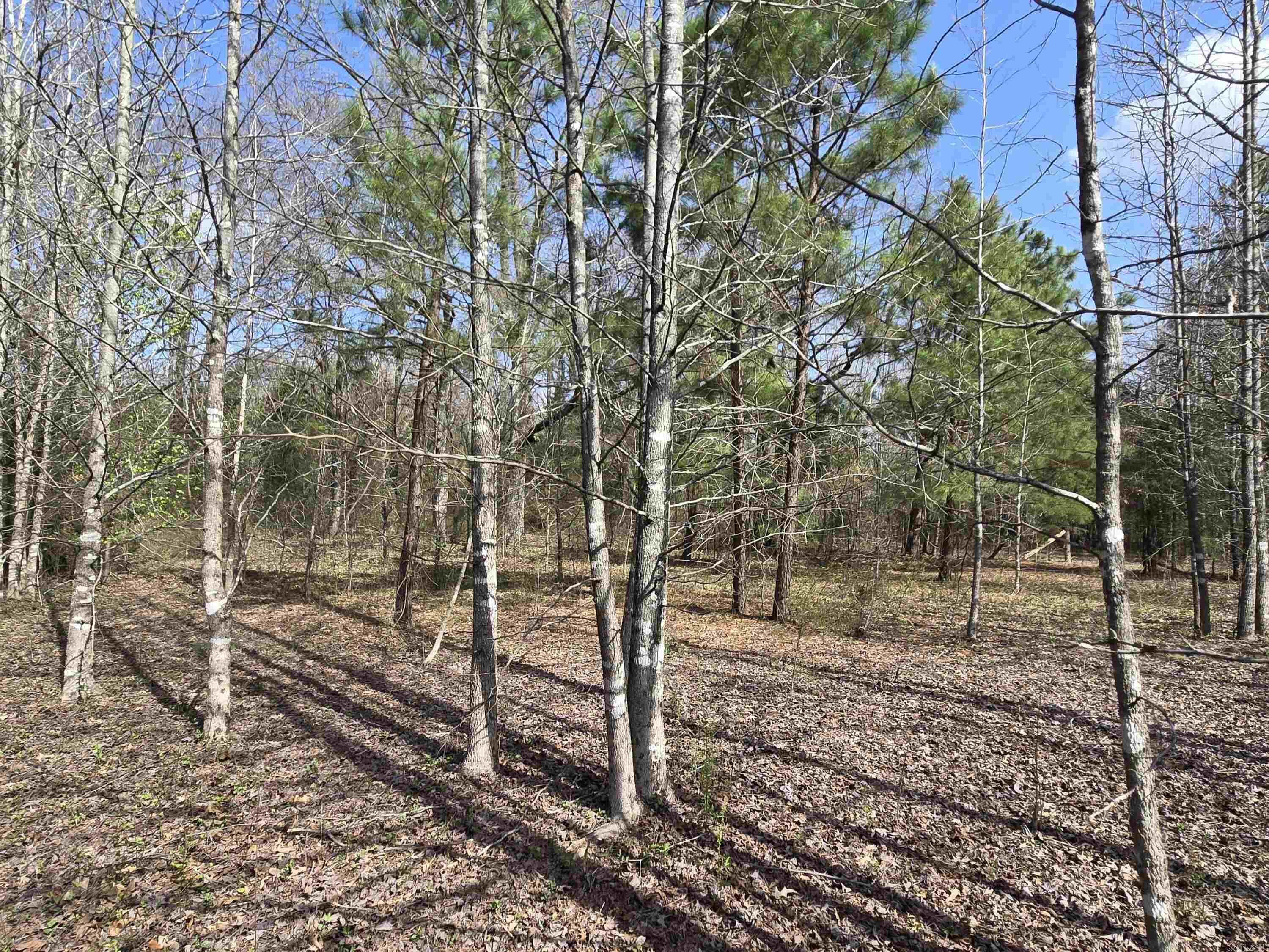 15 Stone Mountain  Conway, AR