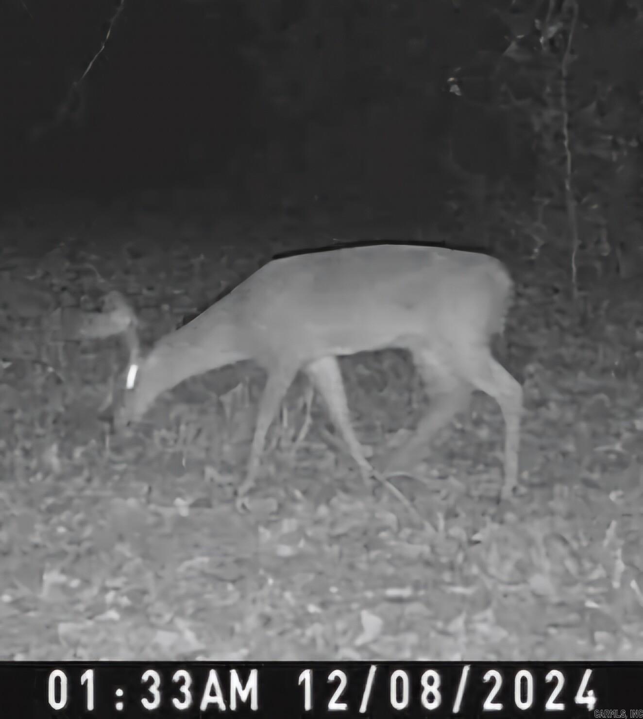 15 Stone Mountain  Conway, AR