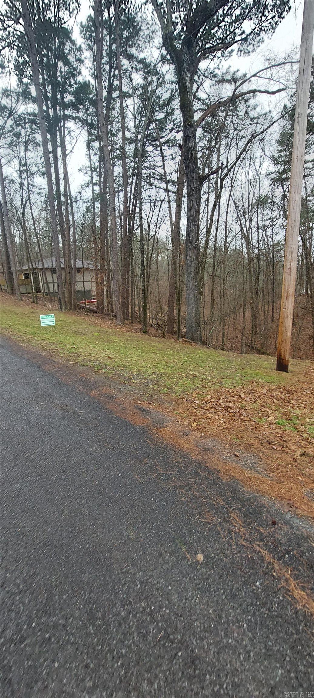 337  Arlington  Hot Springs, AR
