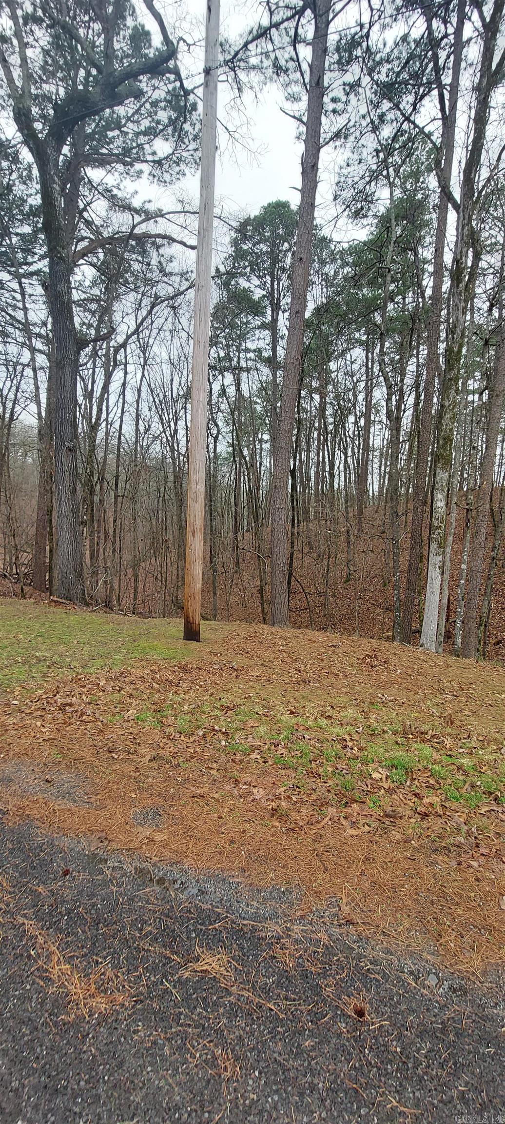 337  Arlington  Hot Springs, AR