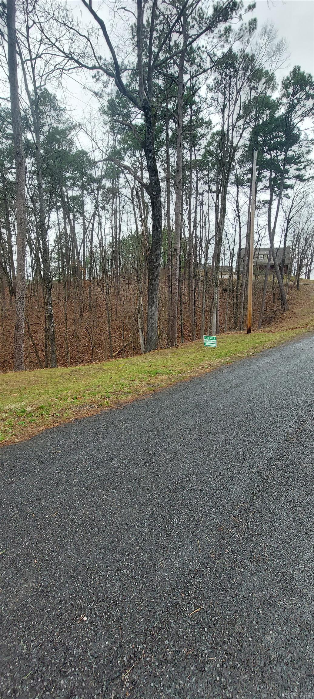 337  Arlington  Hot Springs, AR
