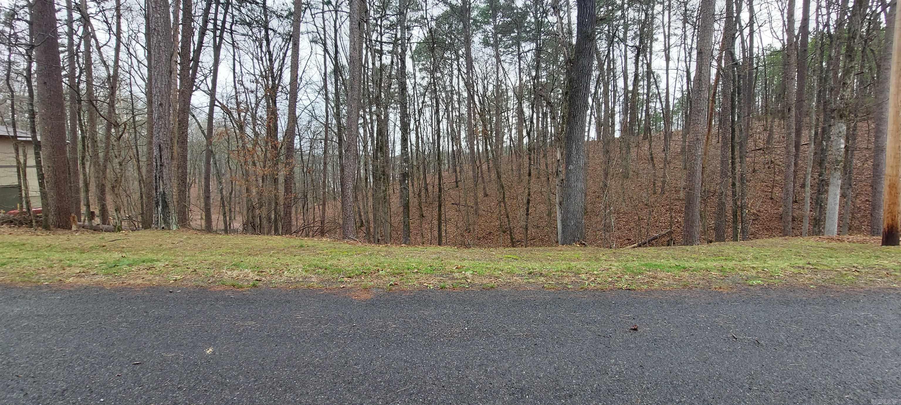 337  Arlington  Hot Springs, AR