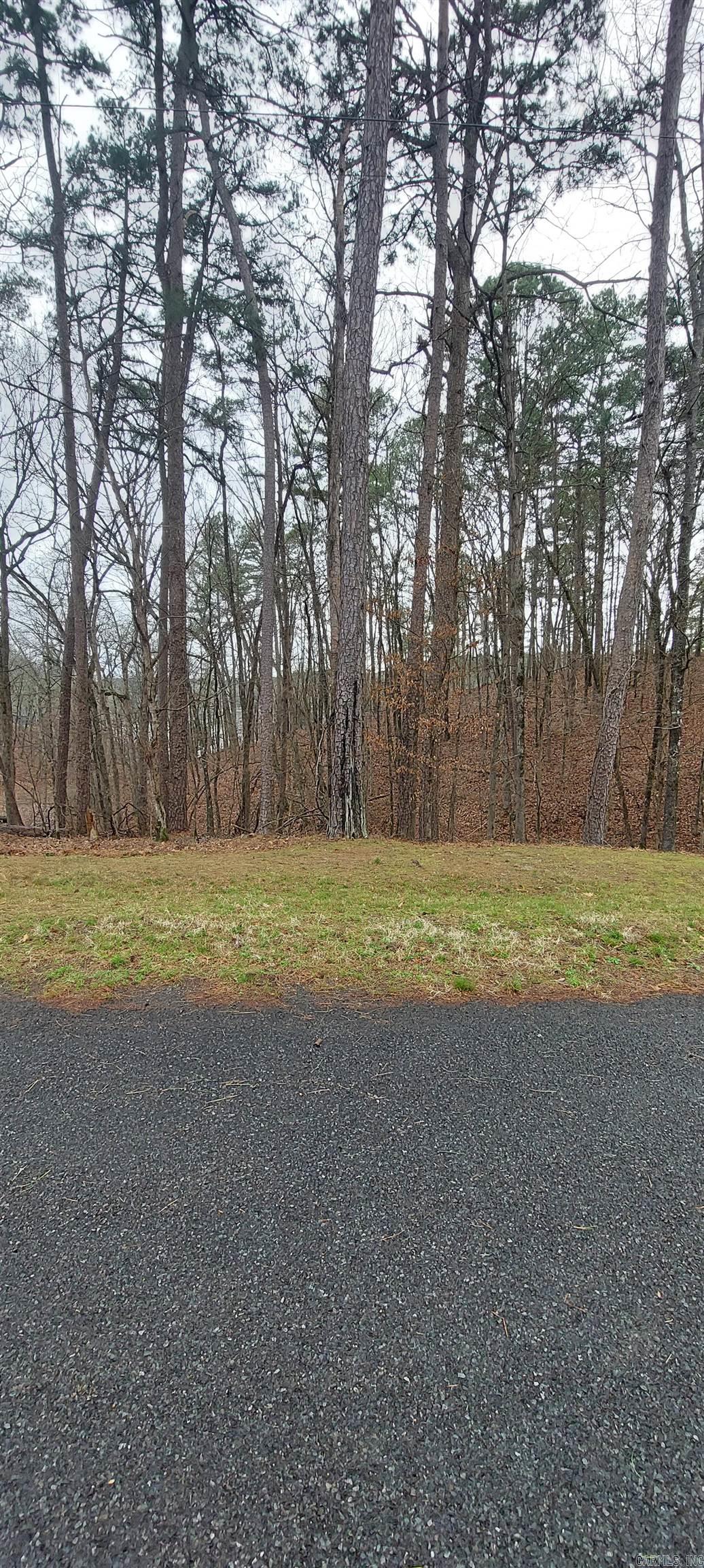 337  Arlington  Hot Springs, AR