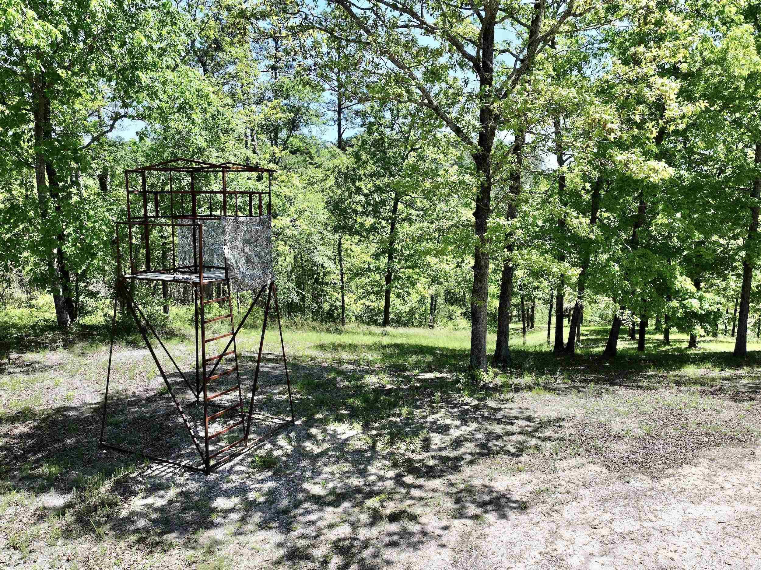 22  Turkey Valley  Kirby, AR