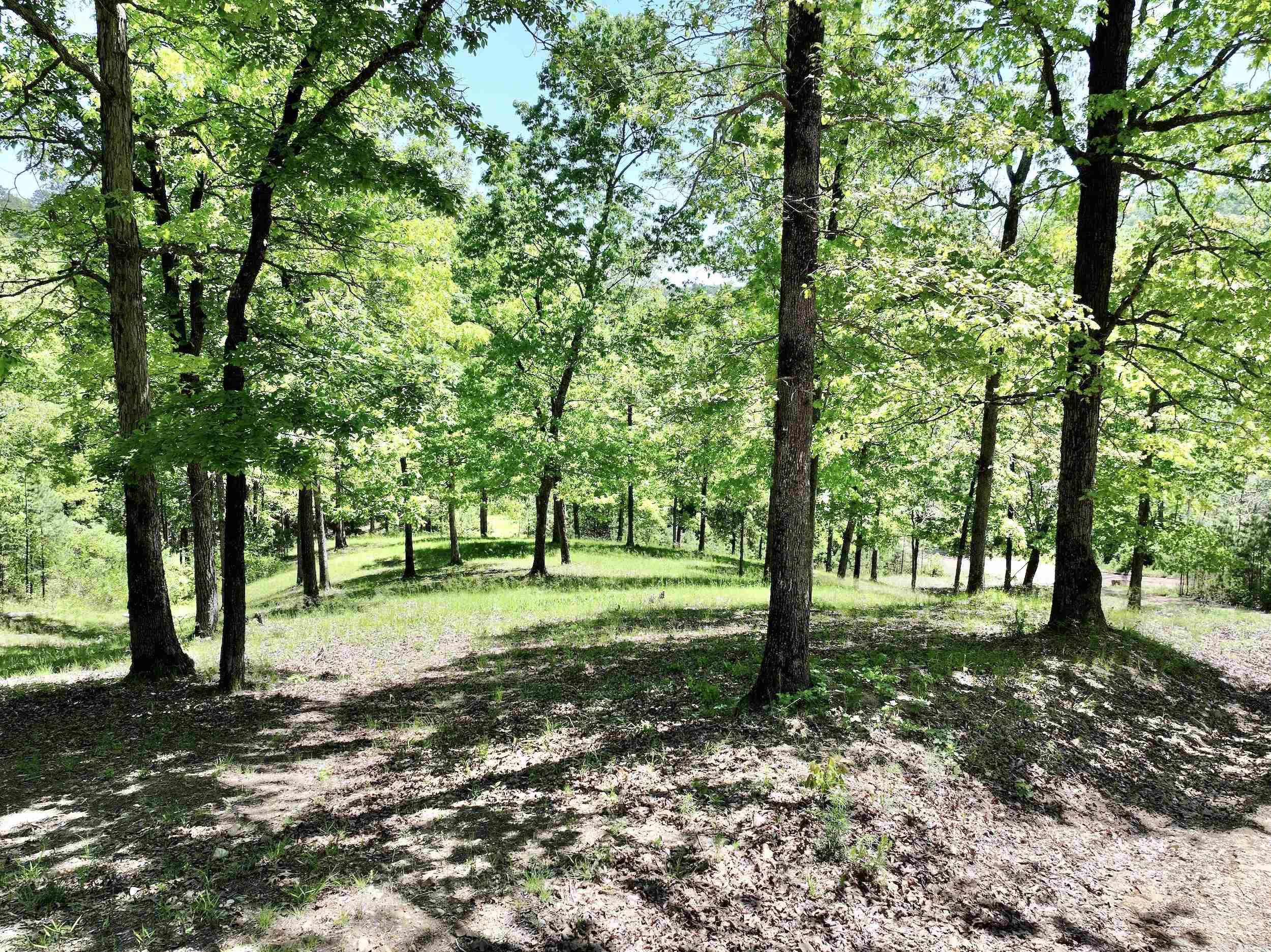 22  Turkey Valley  Kirby, AR