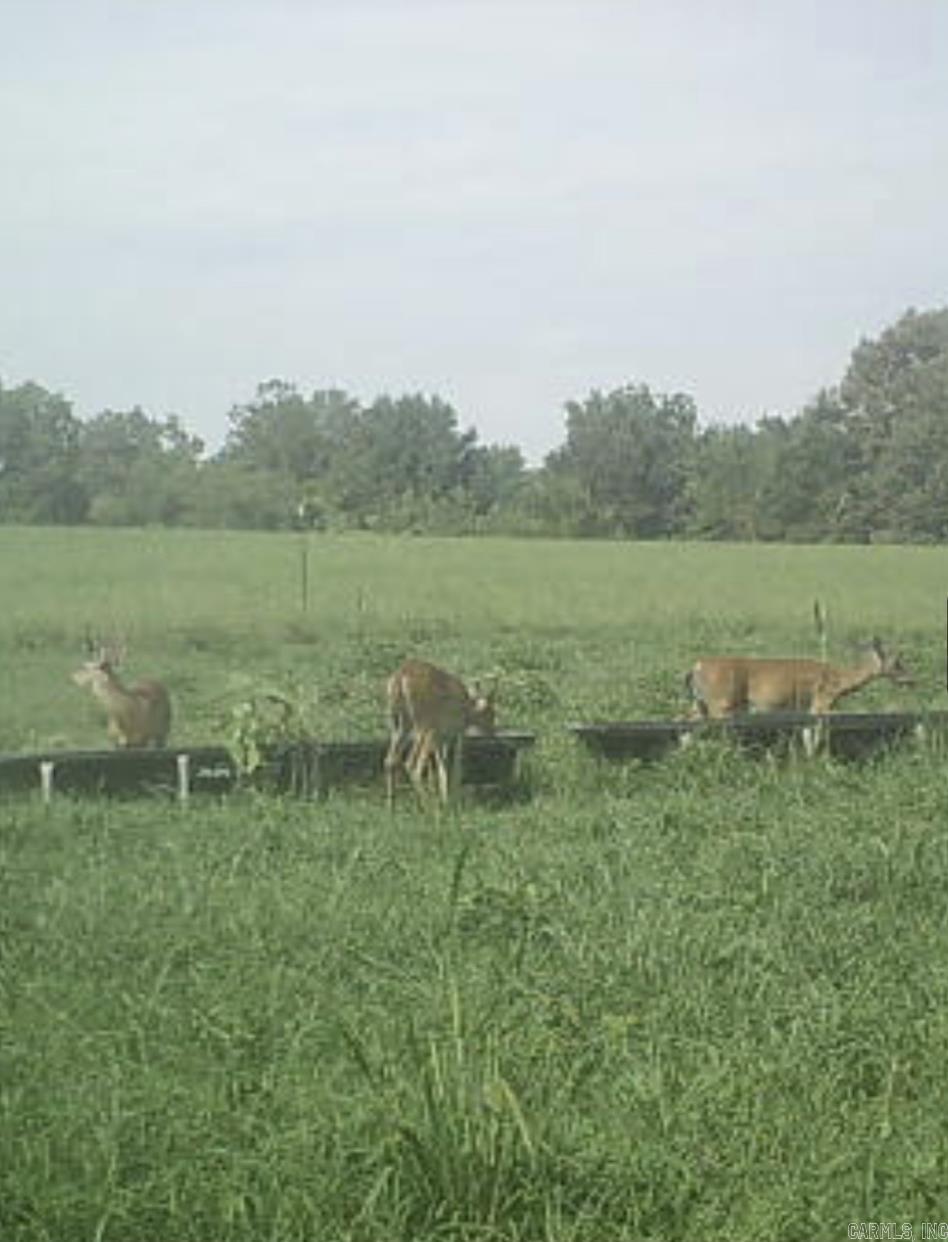 1199  CR 762  Brookland, AR