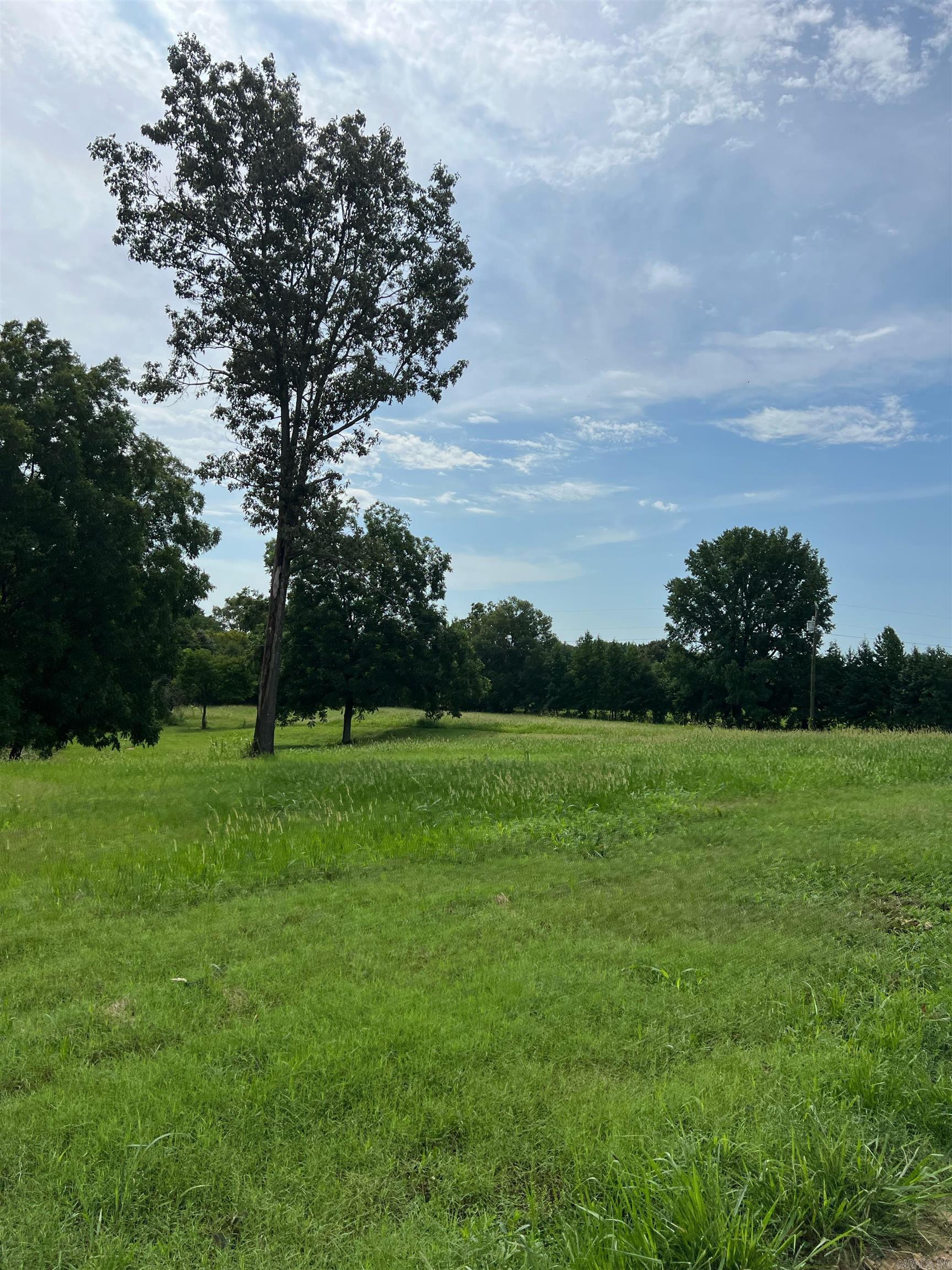 1199  CR 762  Brookland, AR