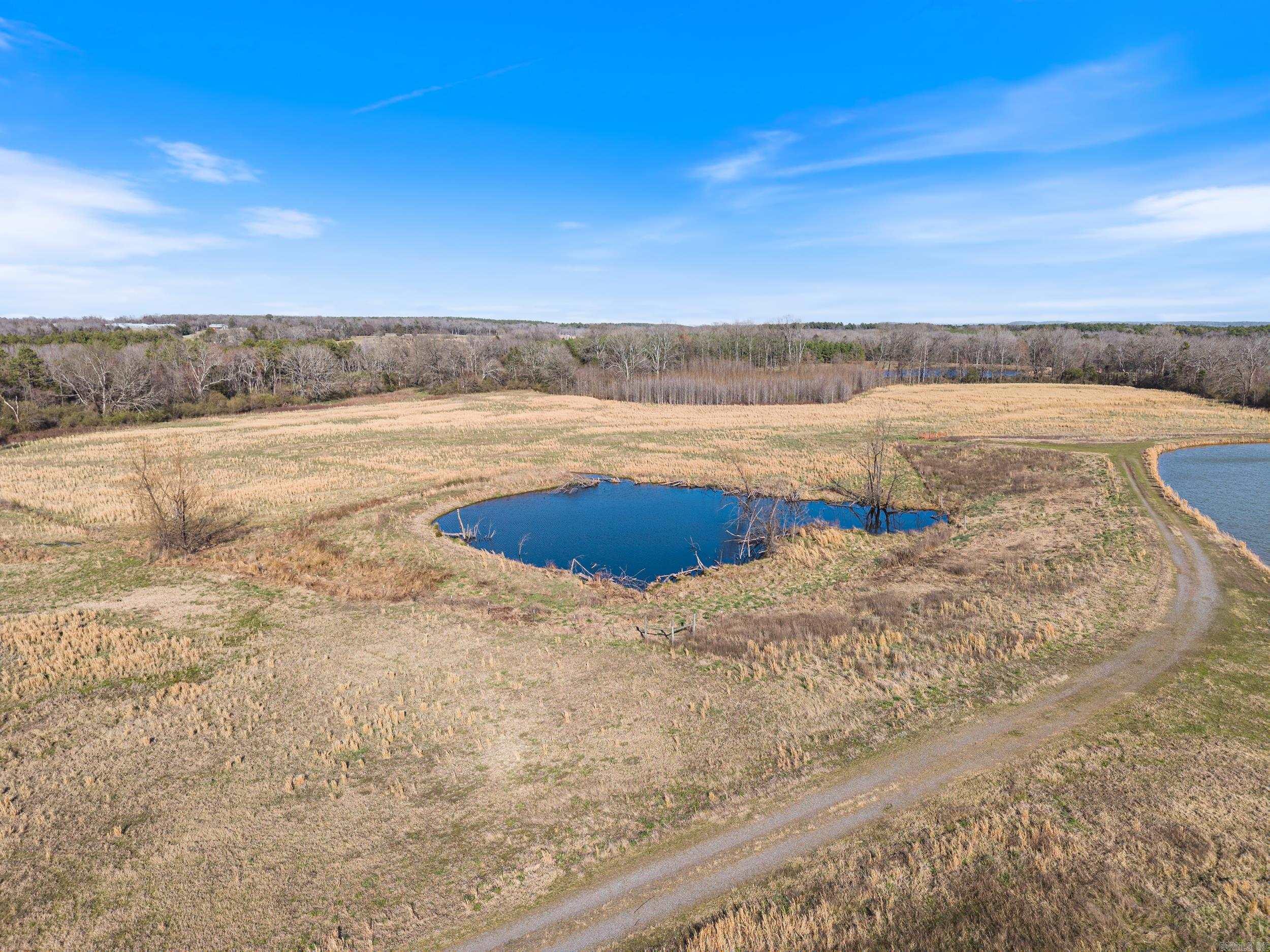 4378  Highway 95  Cleveland, AR