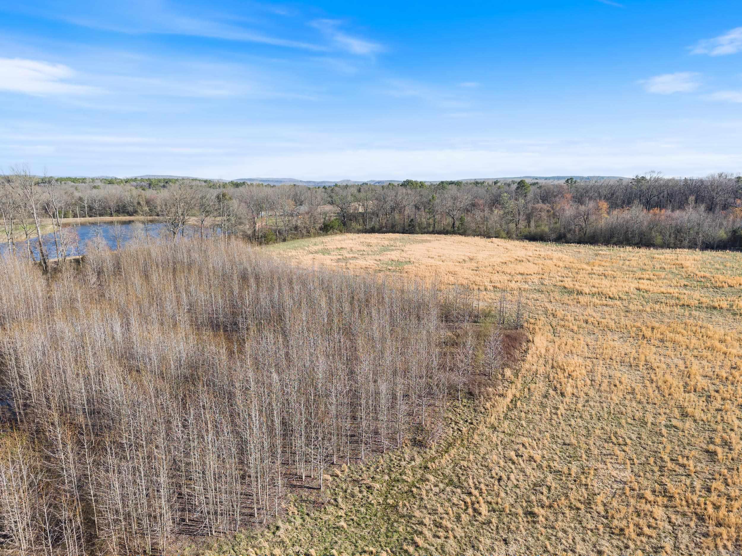 4378  Highway 95  Cleveland, AR